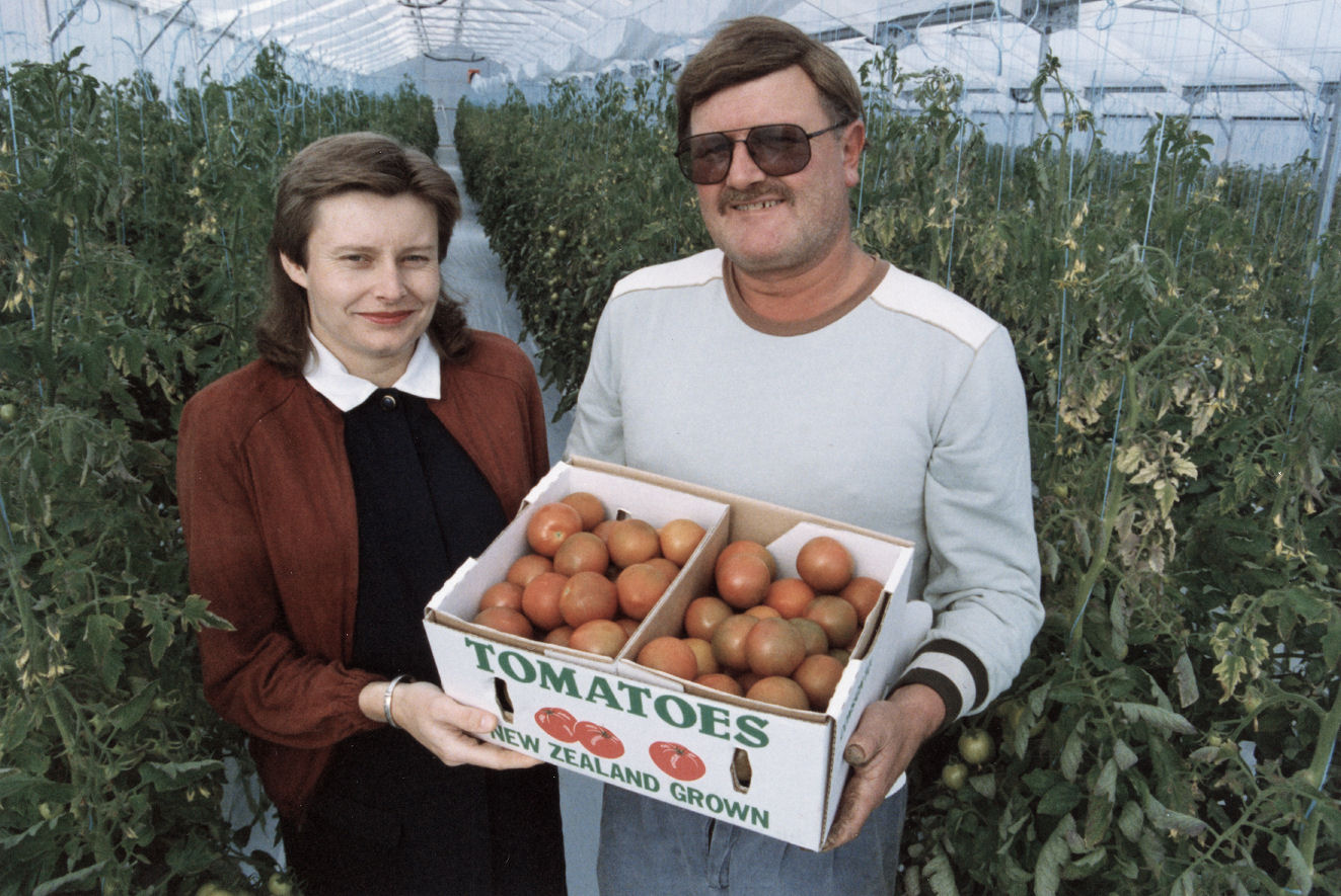 Carol and Paul Snaddon, Mangaroa; hydroponic tomatoes.