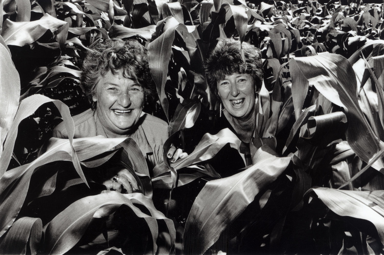 Upper Hutt Foodbank; Mangaroa community garden; committee member Shirley Russell, treasurer Lynne Wyman.