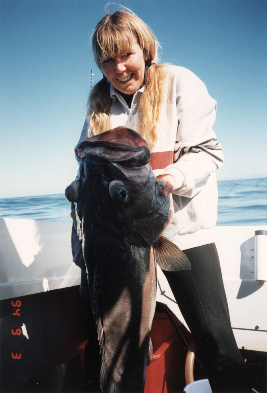 Fishing; Ali Hewitt, widely-known meter reader, catches 60 pound (27kg) bass in Cook Strait.