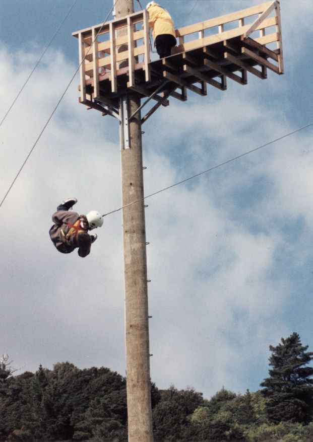 Te Marua; "Black stump giant pole swing".