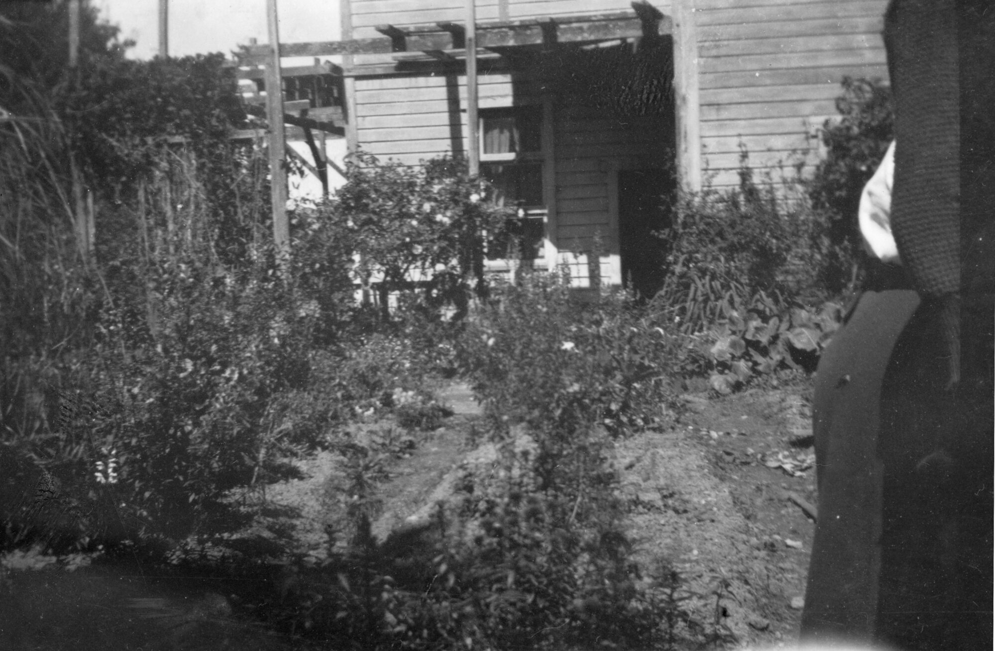 Bonnie Glen; photo across the back garden to the rear door of McCurdy's Castle.