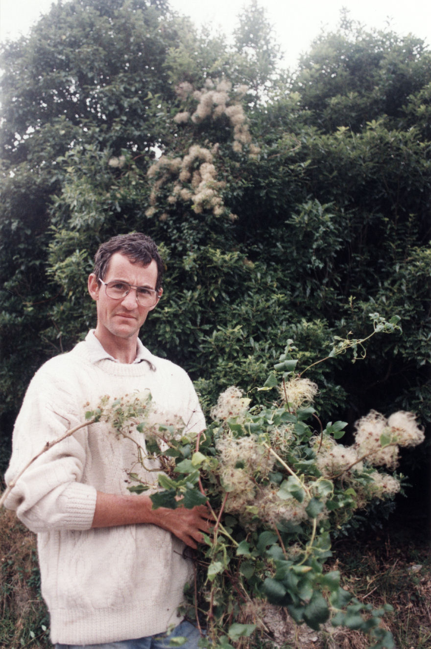 Noxious weed; "Old Man's Beard" Mark Rammell's eradication contract ends.