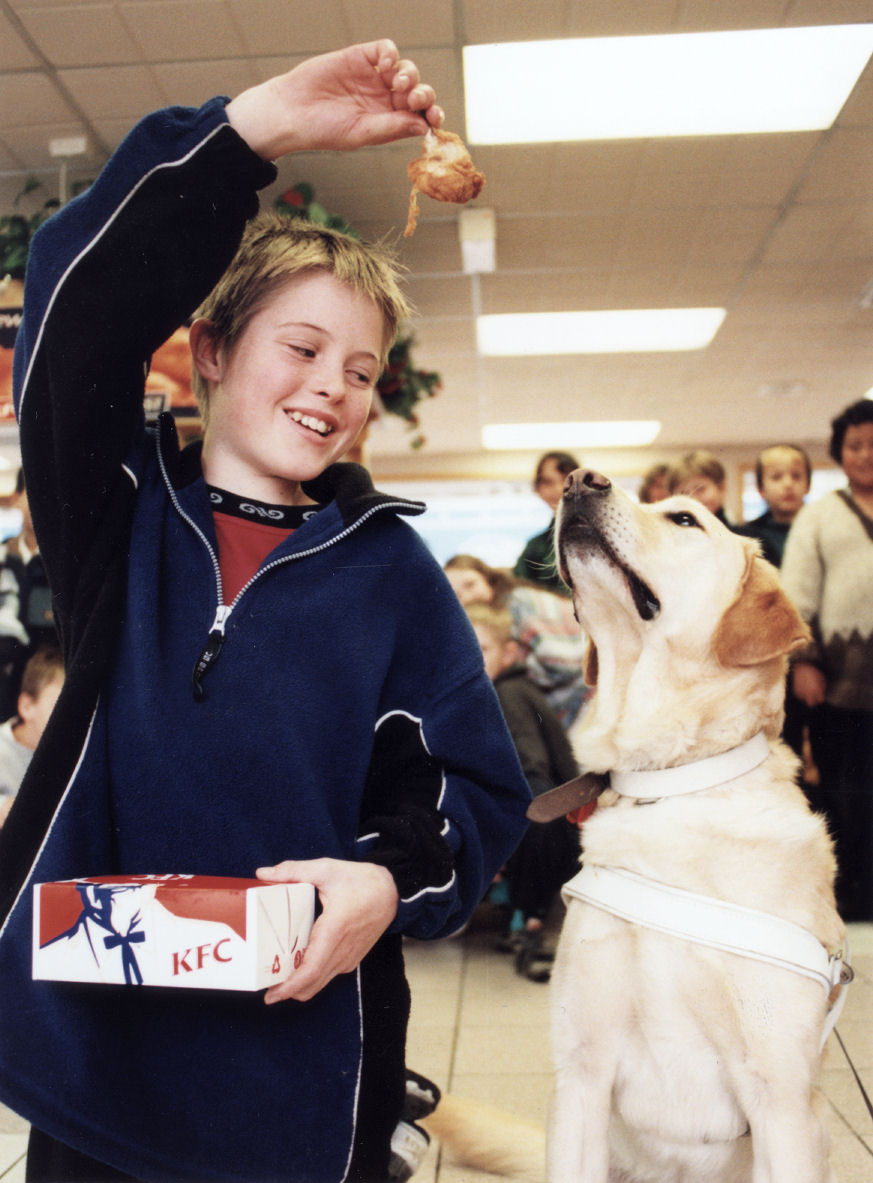 Fraser Crescent School; Foundation of the Blind guide dog fund-raising; Fin Howell at KFC free lunch.