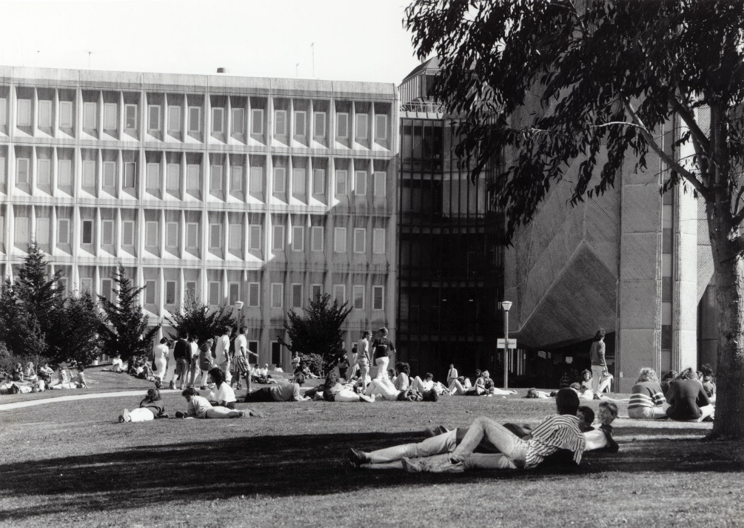 Central Institute of Technology buildings; main buildings from east of the lecture theatre tower.