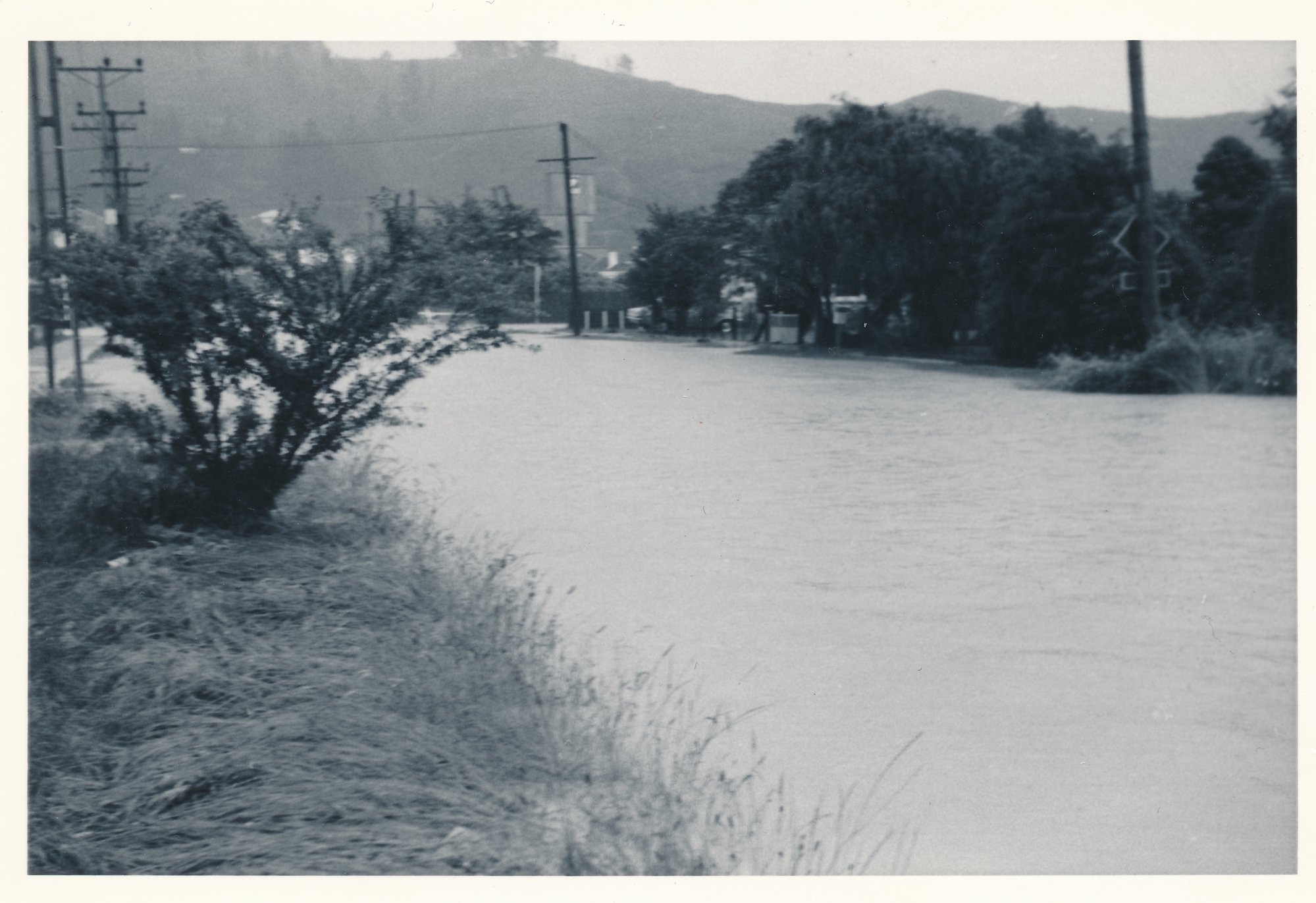 Flood, 1976; Silverstream; 2 of 9