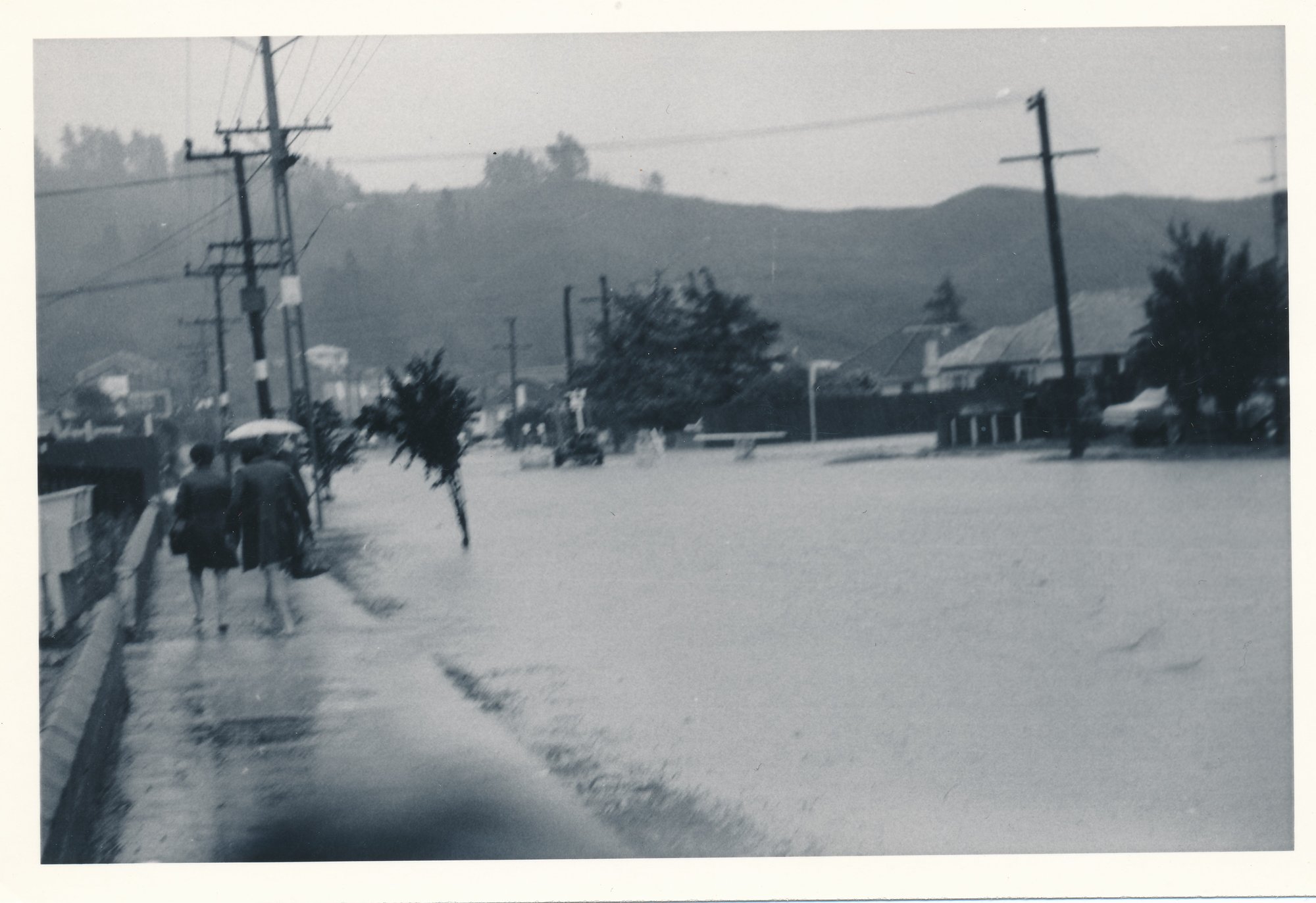 Flood, 1976; Silverstream; 3 of 9