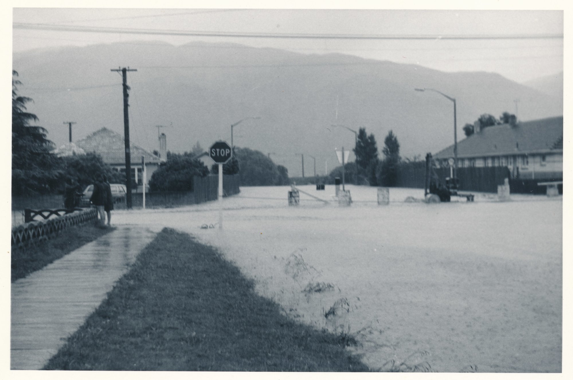Flood, 1976; Silverstream; 5 of 9
