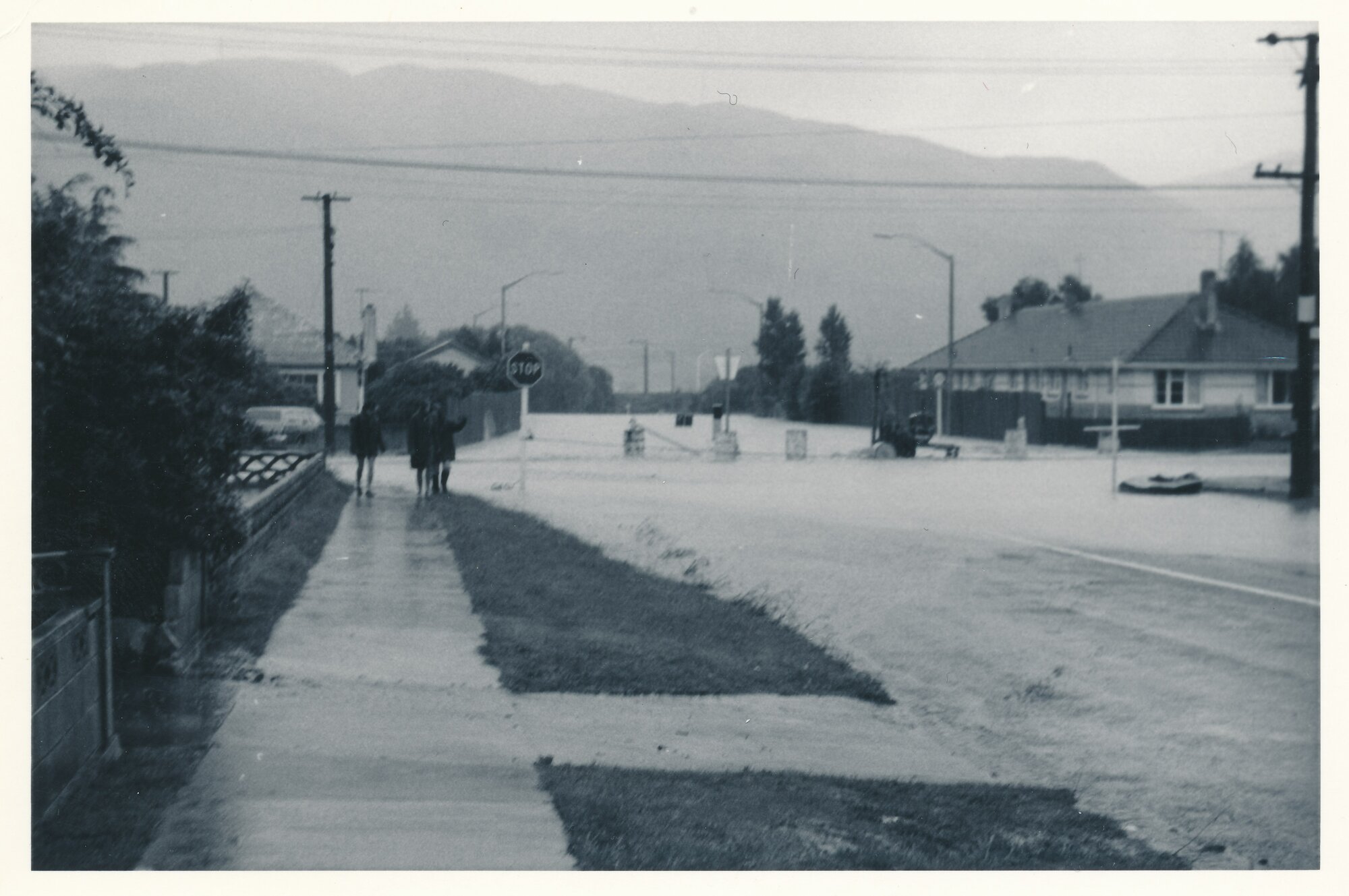 Flood, 1976; Silverstream; 6 of 9