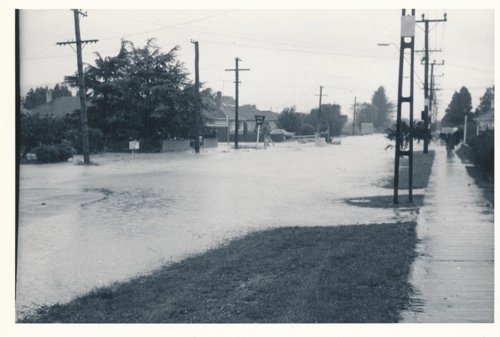 Flood, 1976; Silverstream; 7 of 9