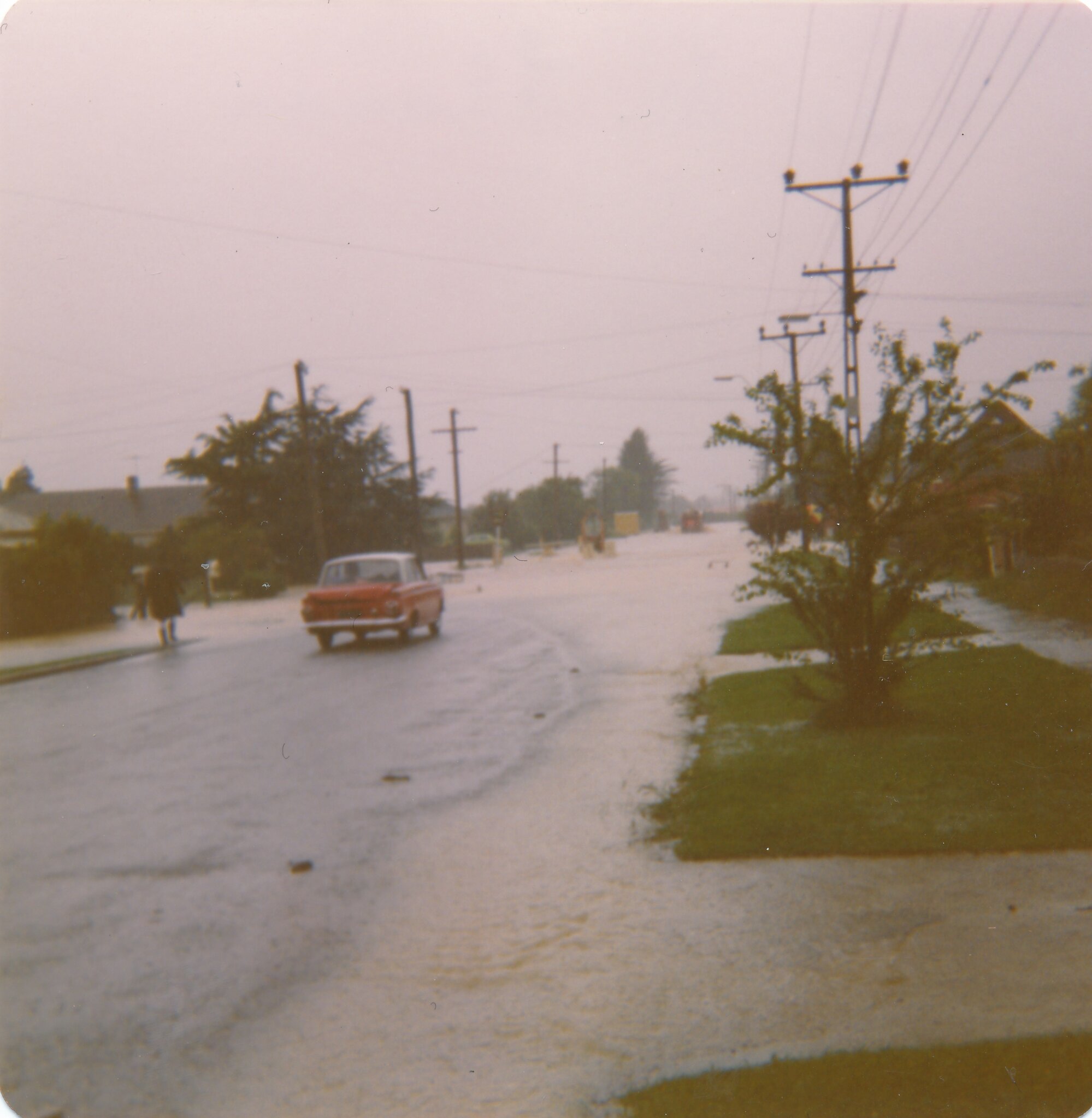 Flood, 1976; Silverstream; 9 of 9