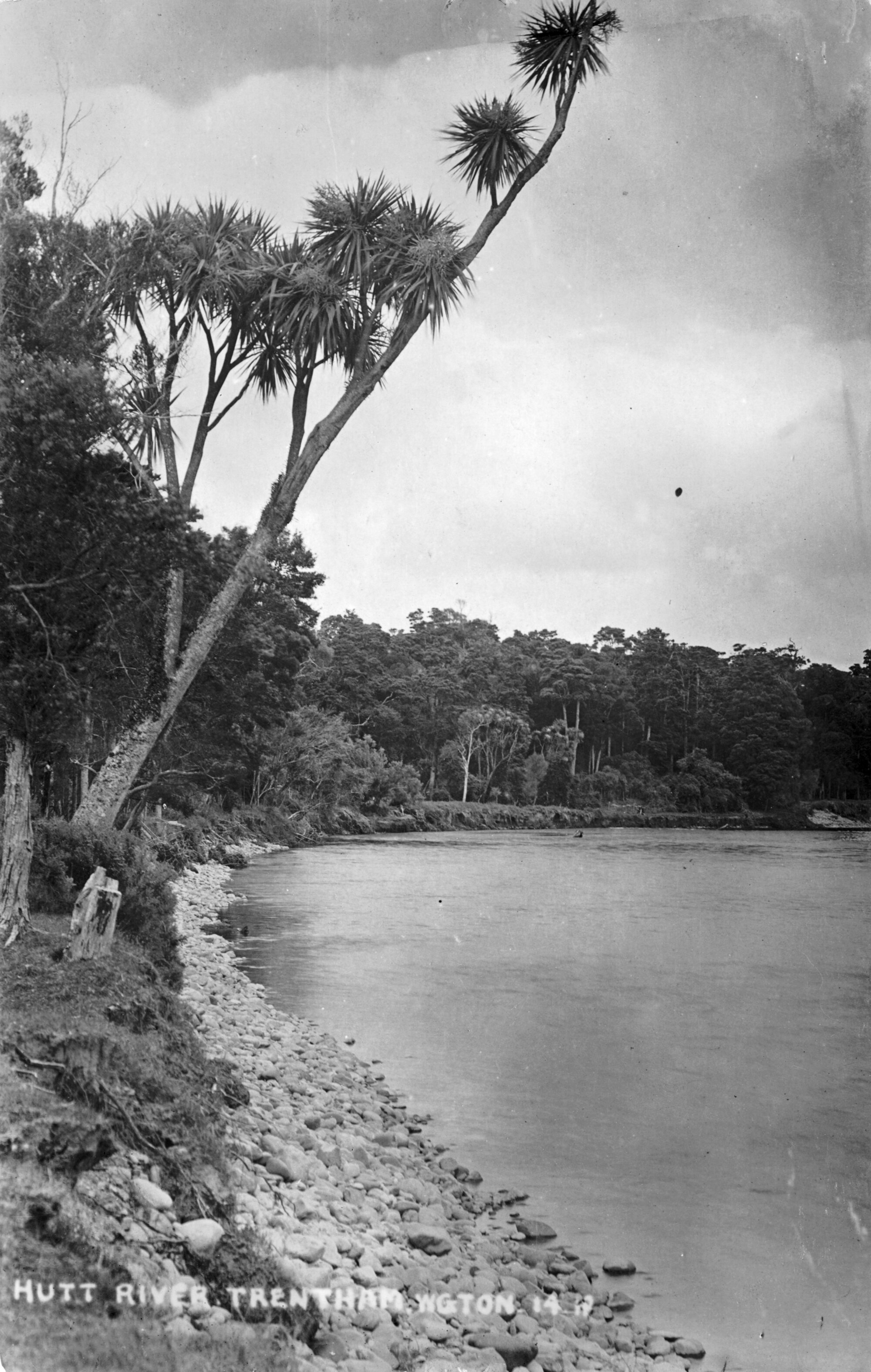 Hutt River at Trentham.