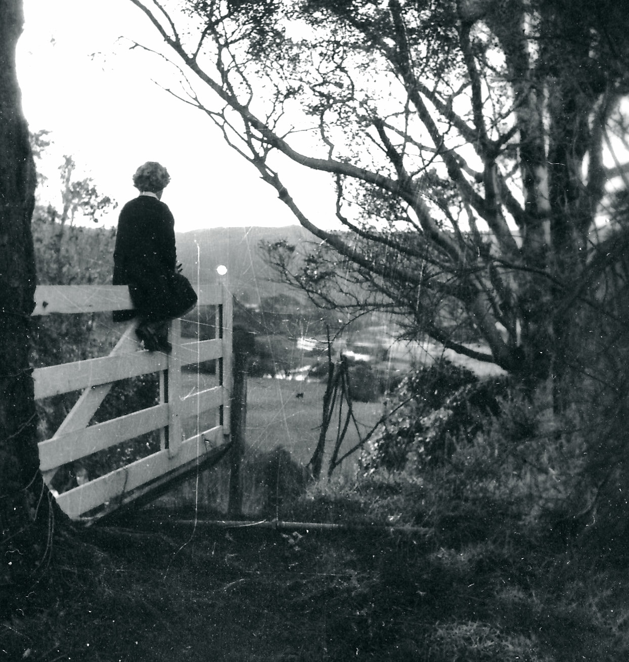 Jackson family and friends; Lynne Jackson (later, McLellan) looking towards Mangaroa River