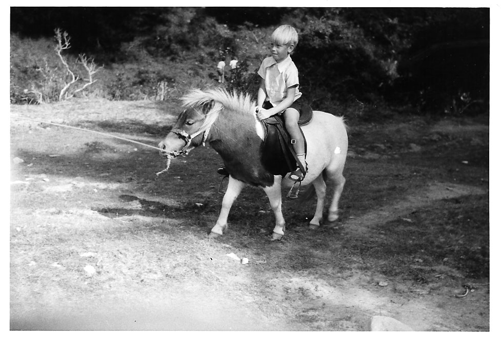 Staglands pony, c.1970s