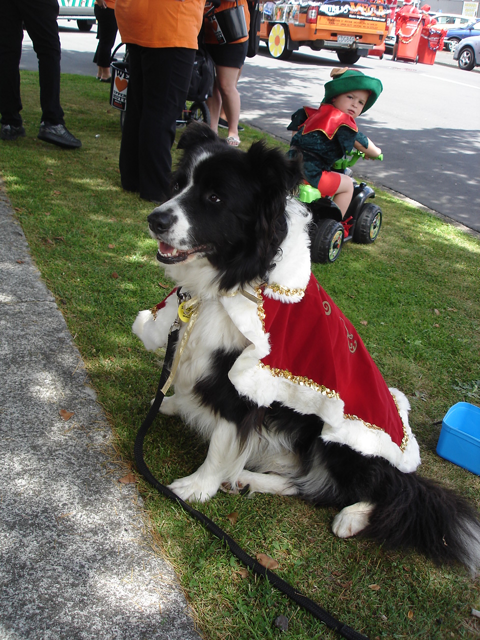 Christmas parade 2011