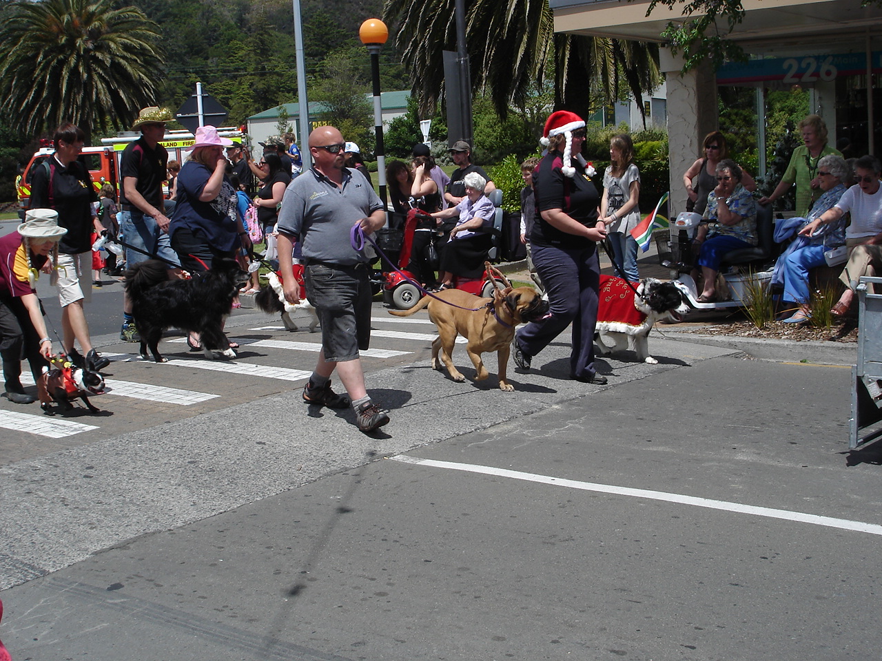 Christmas parade 2011