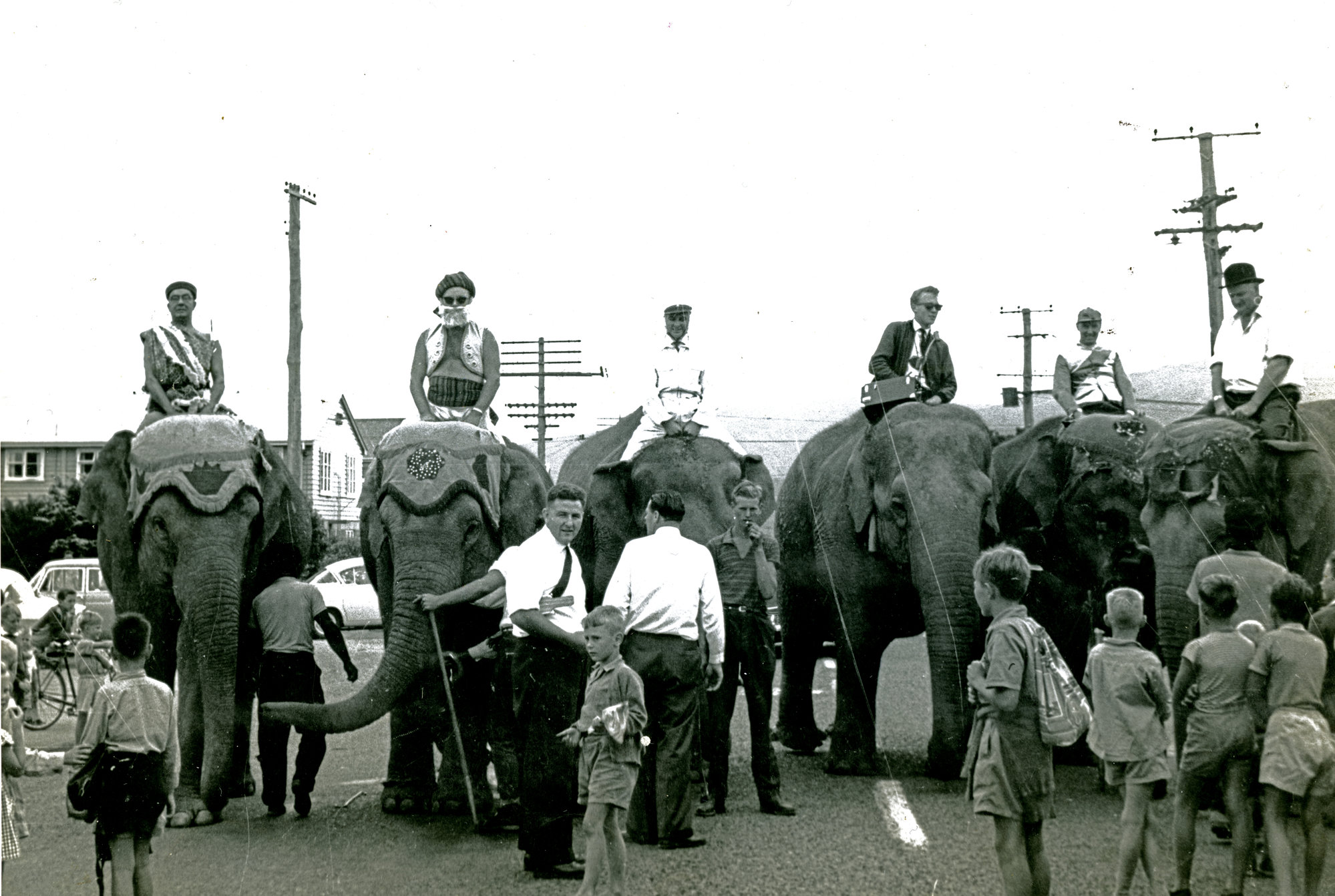 Elephant race; Jaycee fund-raiser for Maidstone pool filtration plant.
