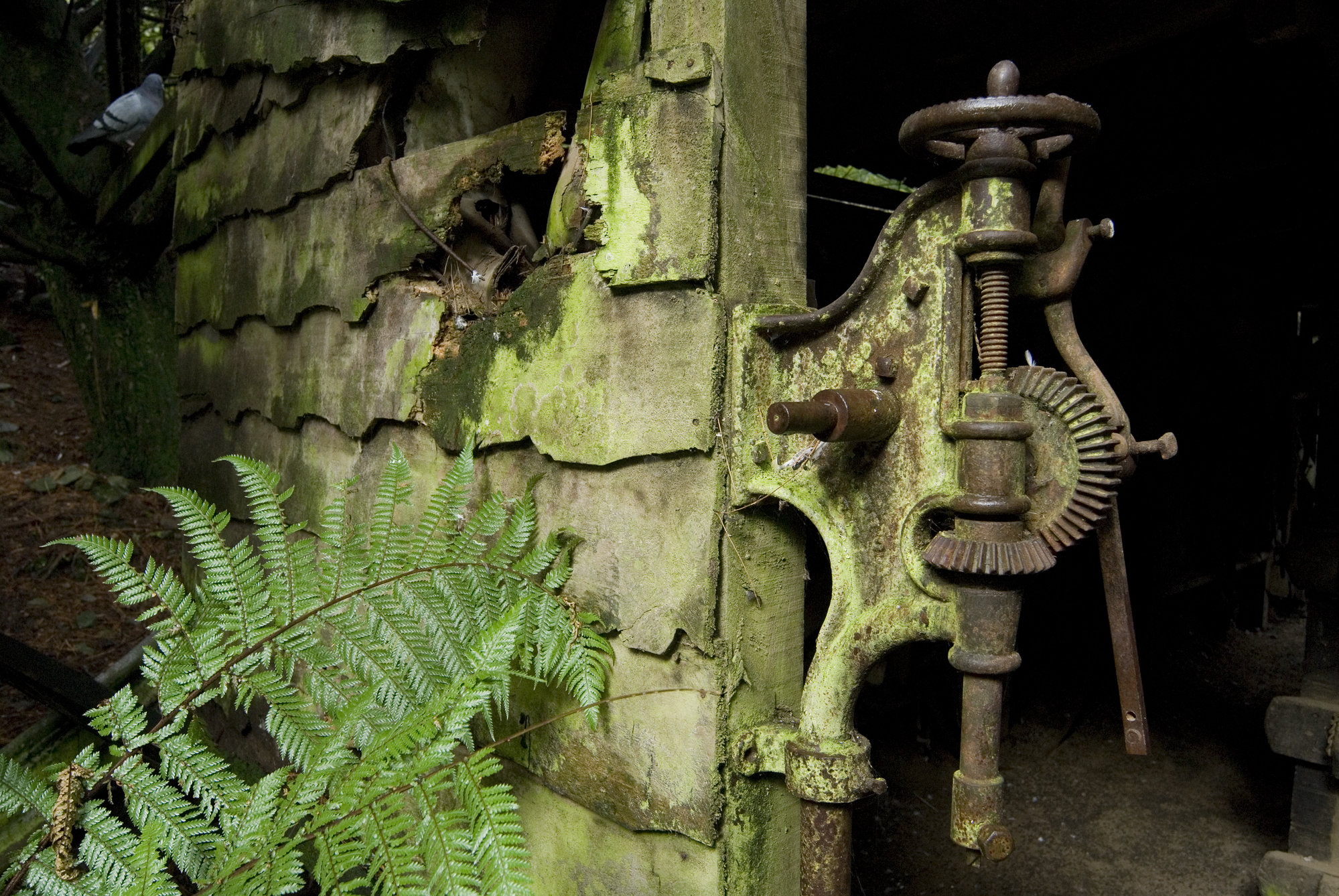 Staglands 7