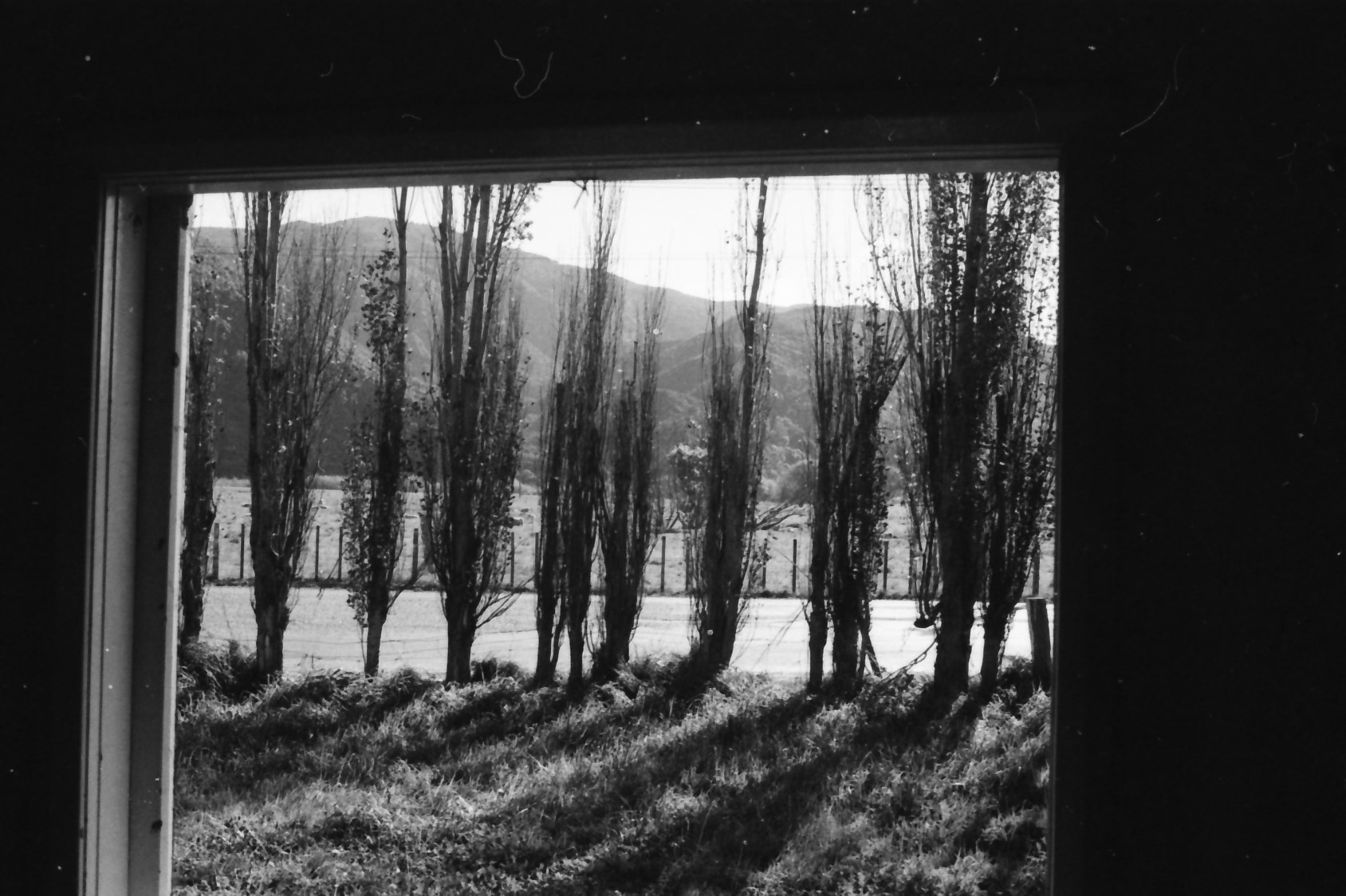 Pumpkin Cottage; view from a window