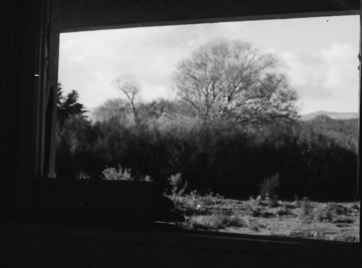 Pumpkin Cottage; view from a window