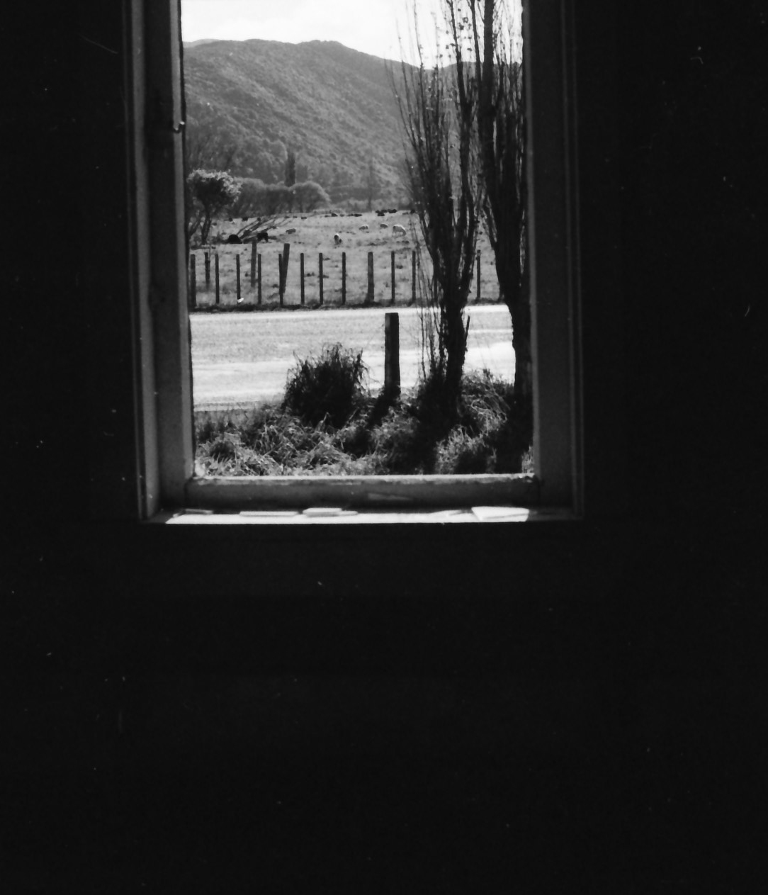 Pumpkin Cottage; view from a window