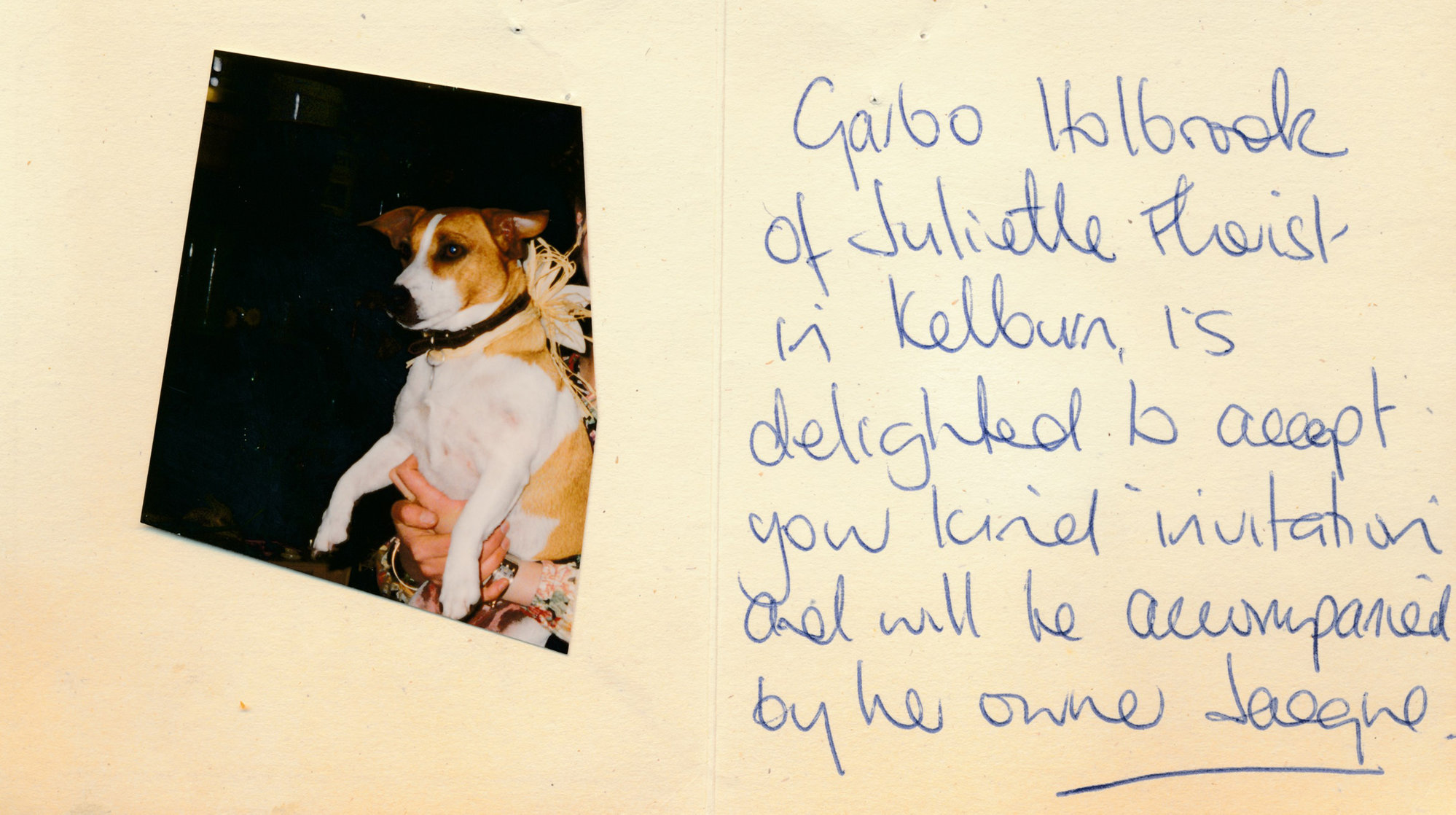 Tessa and Jack's wedding  1; invitation-acceptance card.