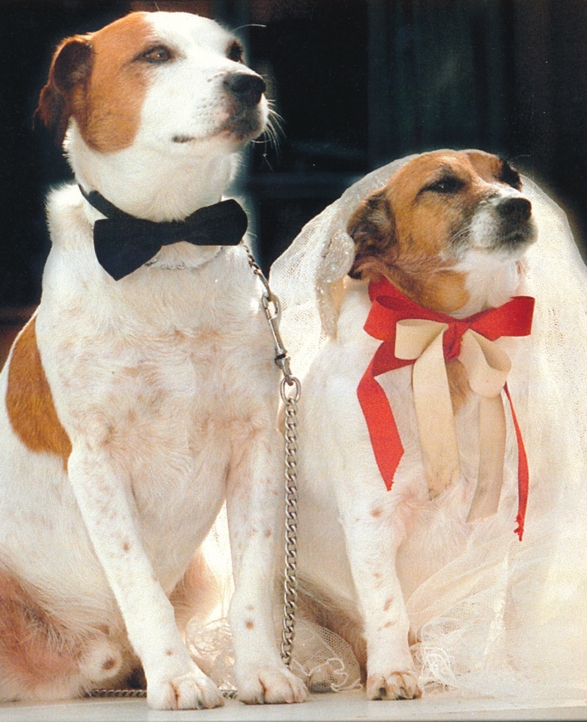 Tessa and Jack's wedding 24; man and wife