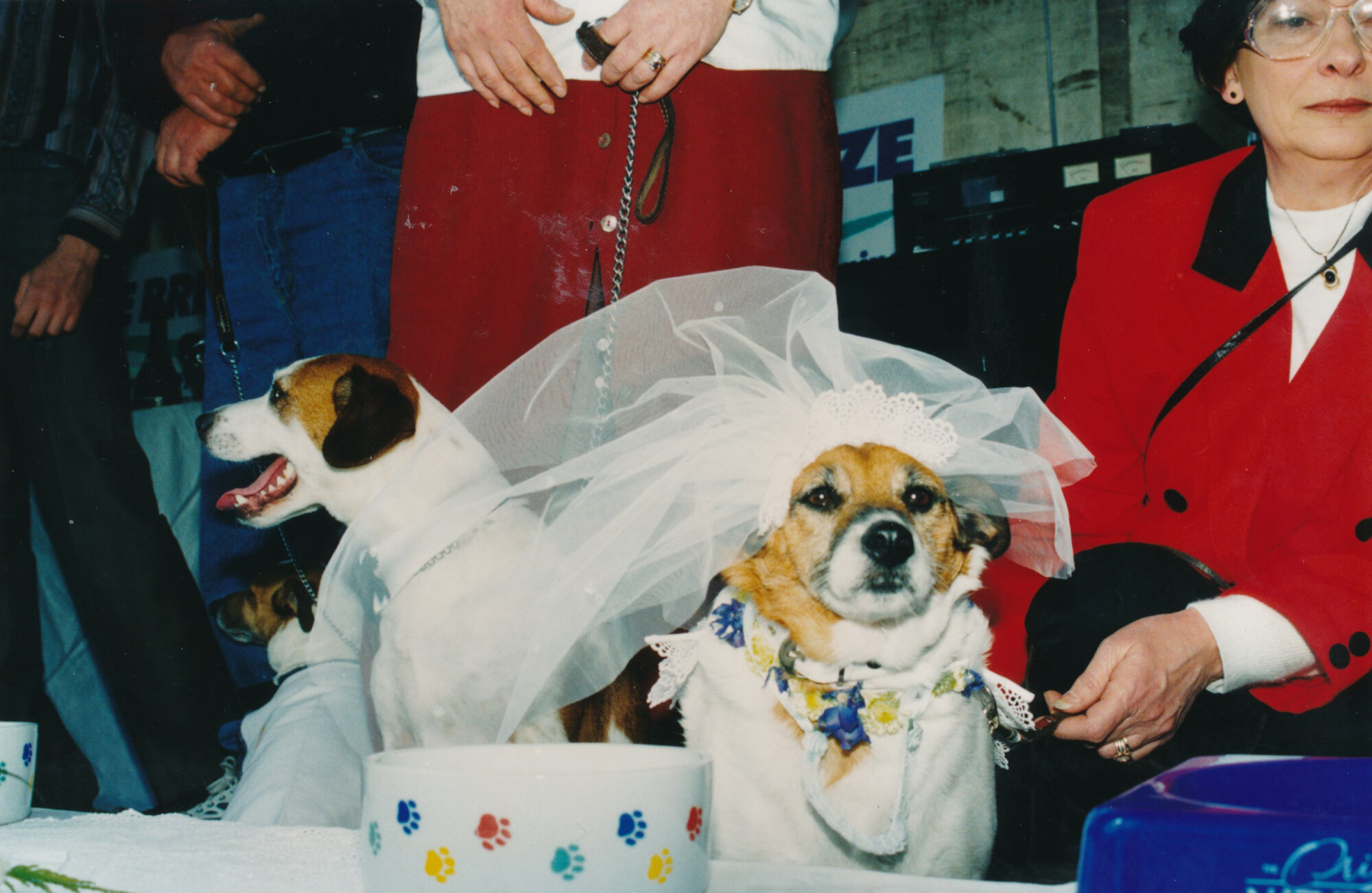 Tessa and Jack's wedding 25; reception