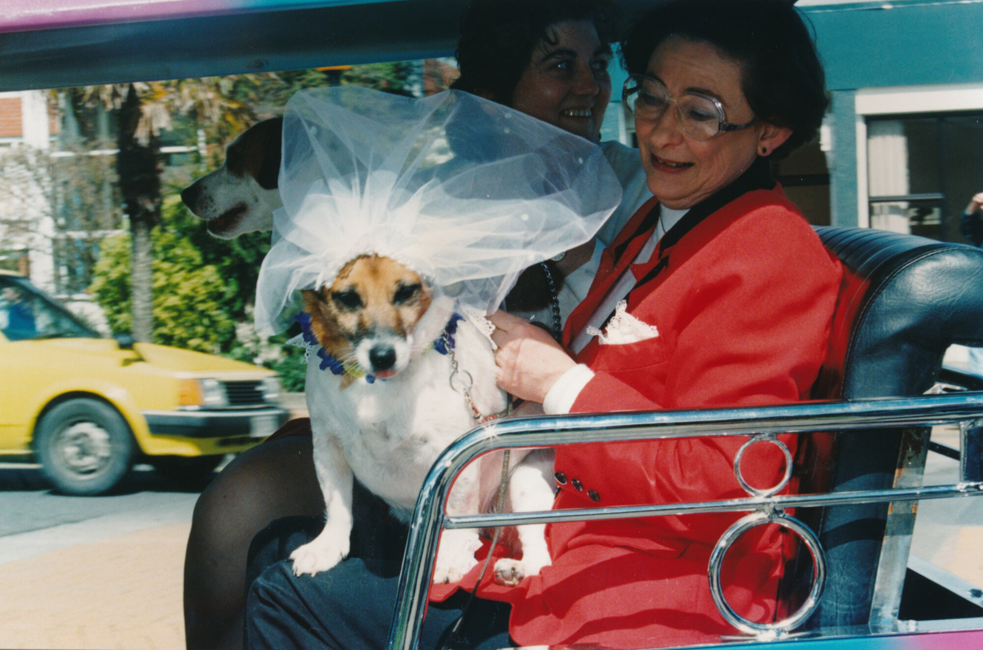 Tessa and Jack's wedding  4; Jack and Trish Drake, Tessa and Mrs Hunt