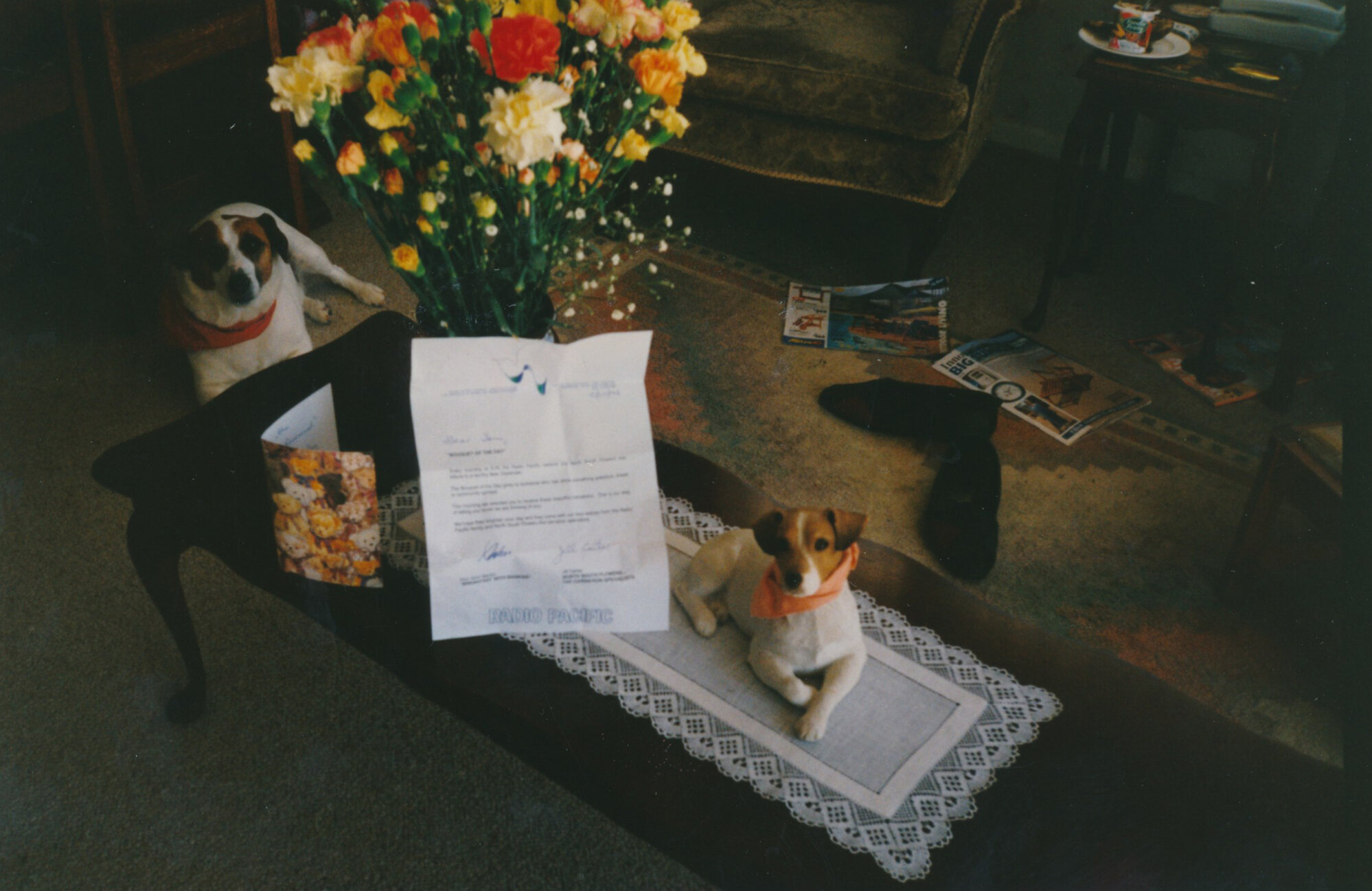 Tessa and Jack's wedding 26; flowers from Radio Pacific