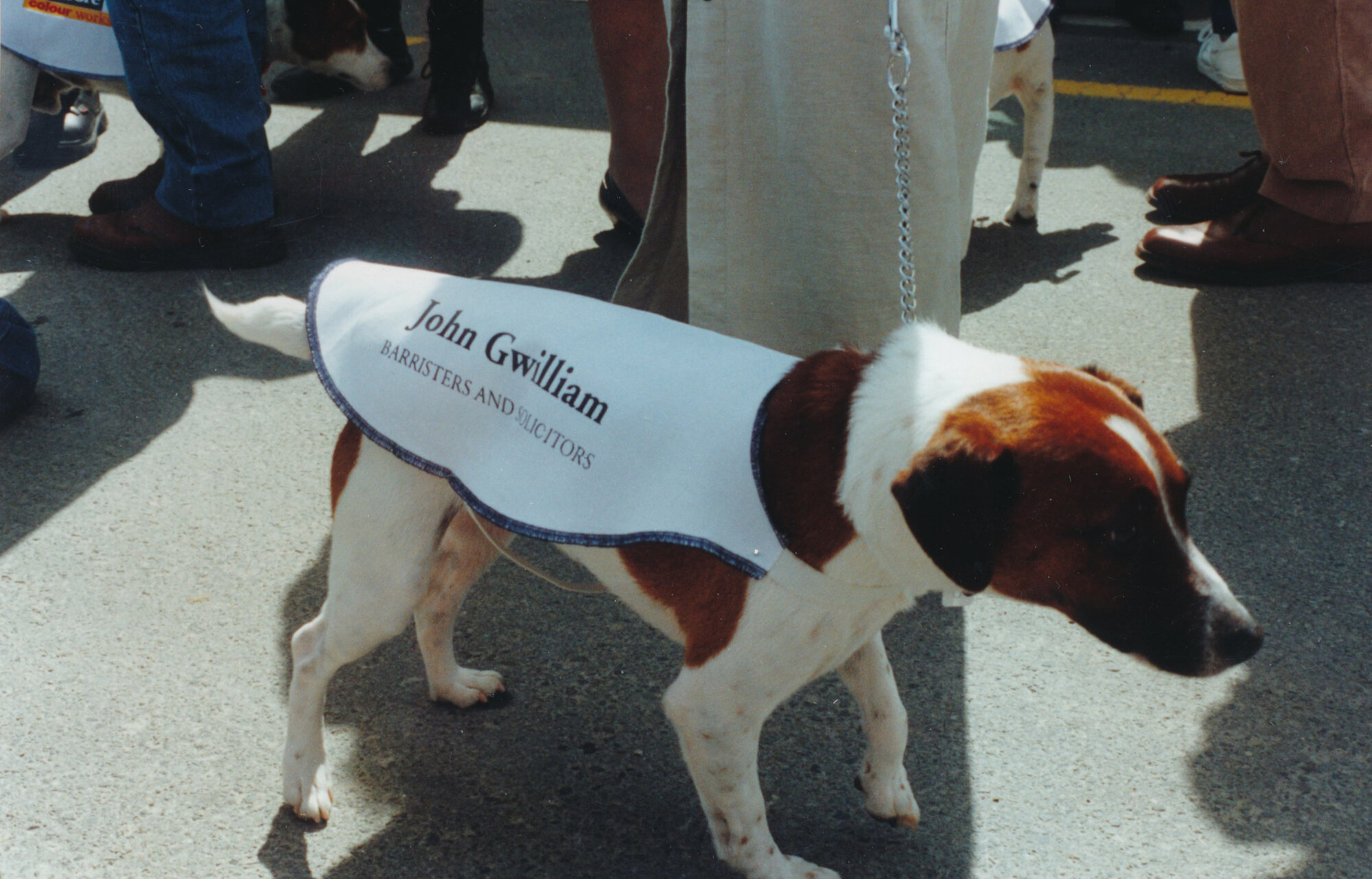 Tessa and Jack's wedding 21; a guest