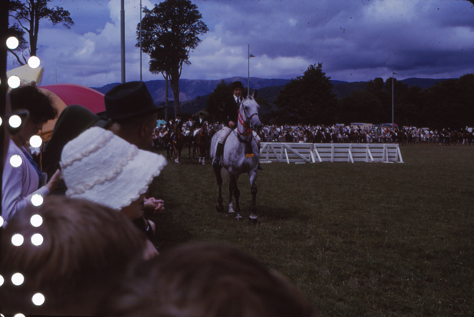 A &amp; P Show; equestrian event