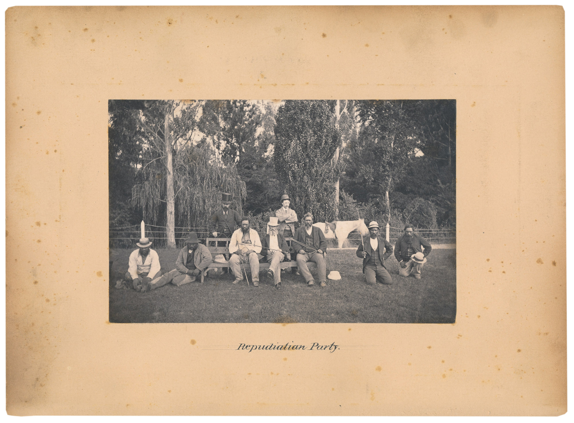 Repudiation party, 1876