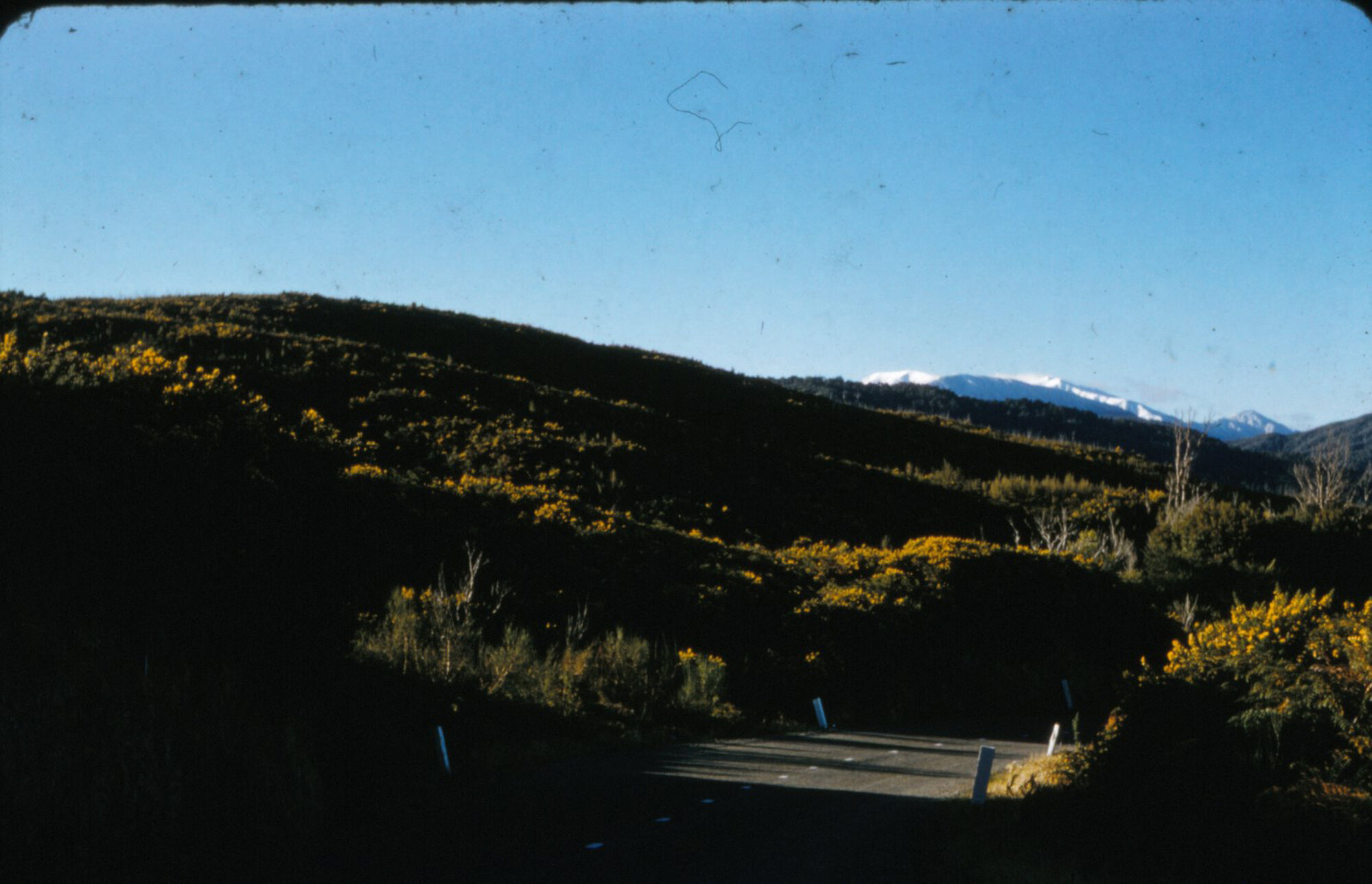 Tararua mountains, from Upper Hutt