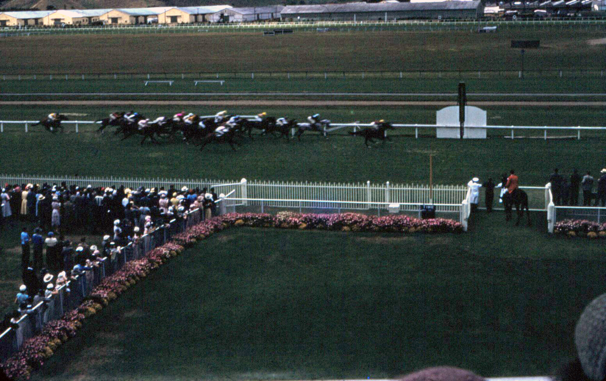 Trentham racecourse; first race winner