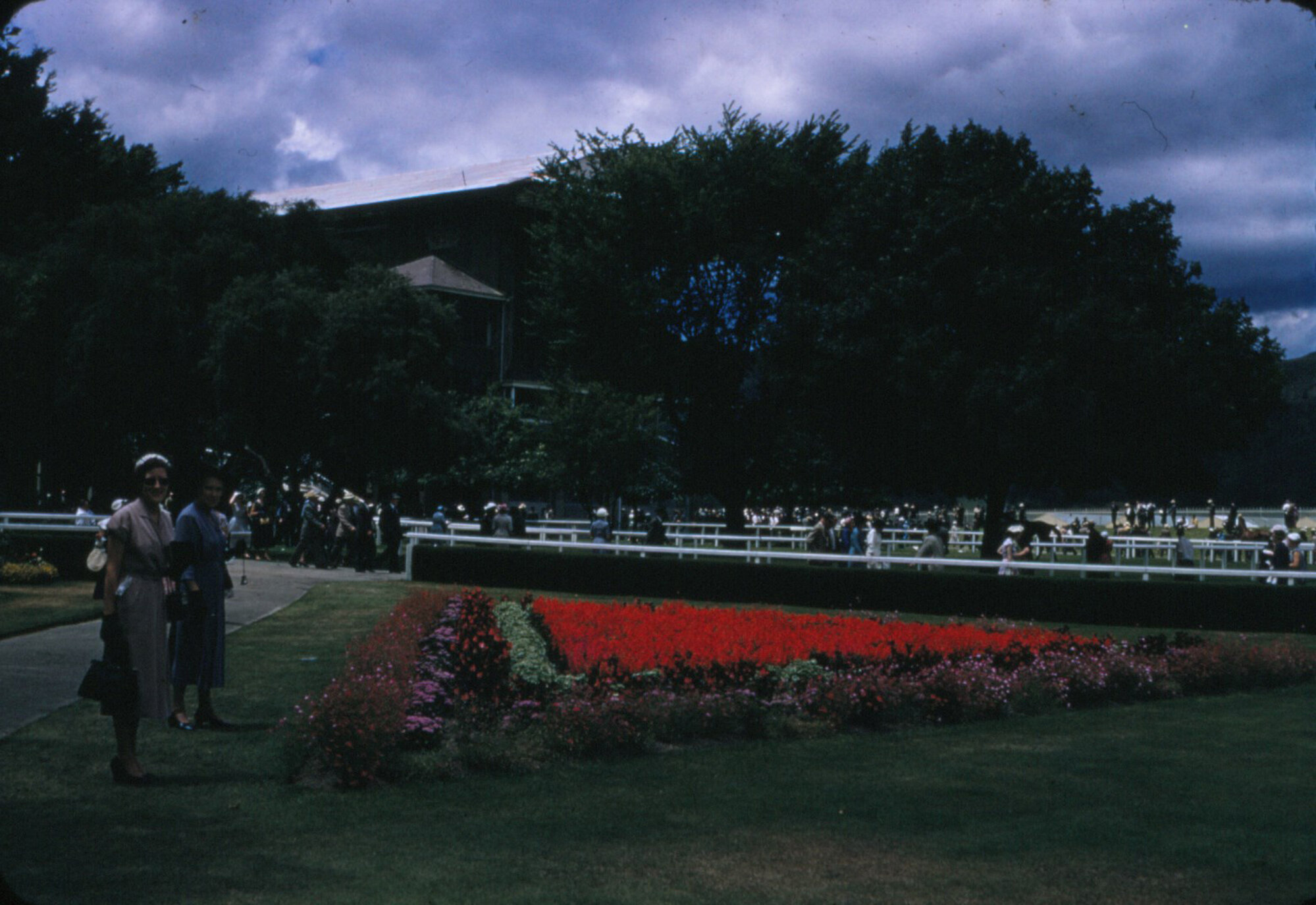 Trentham racecourse; gardens and members' enclosure