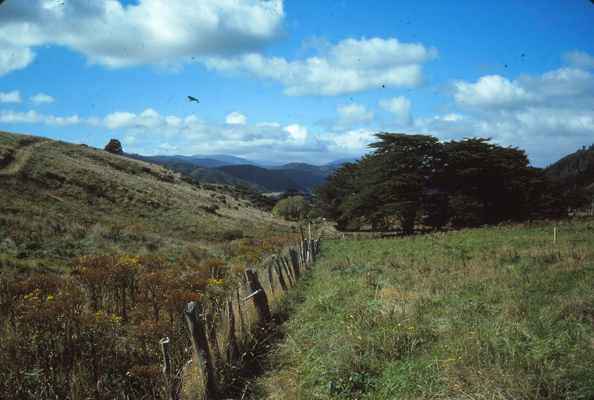 Fault Line; Emerald Hill; Circa 1980s