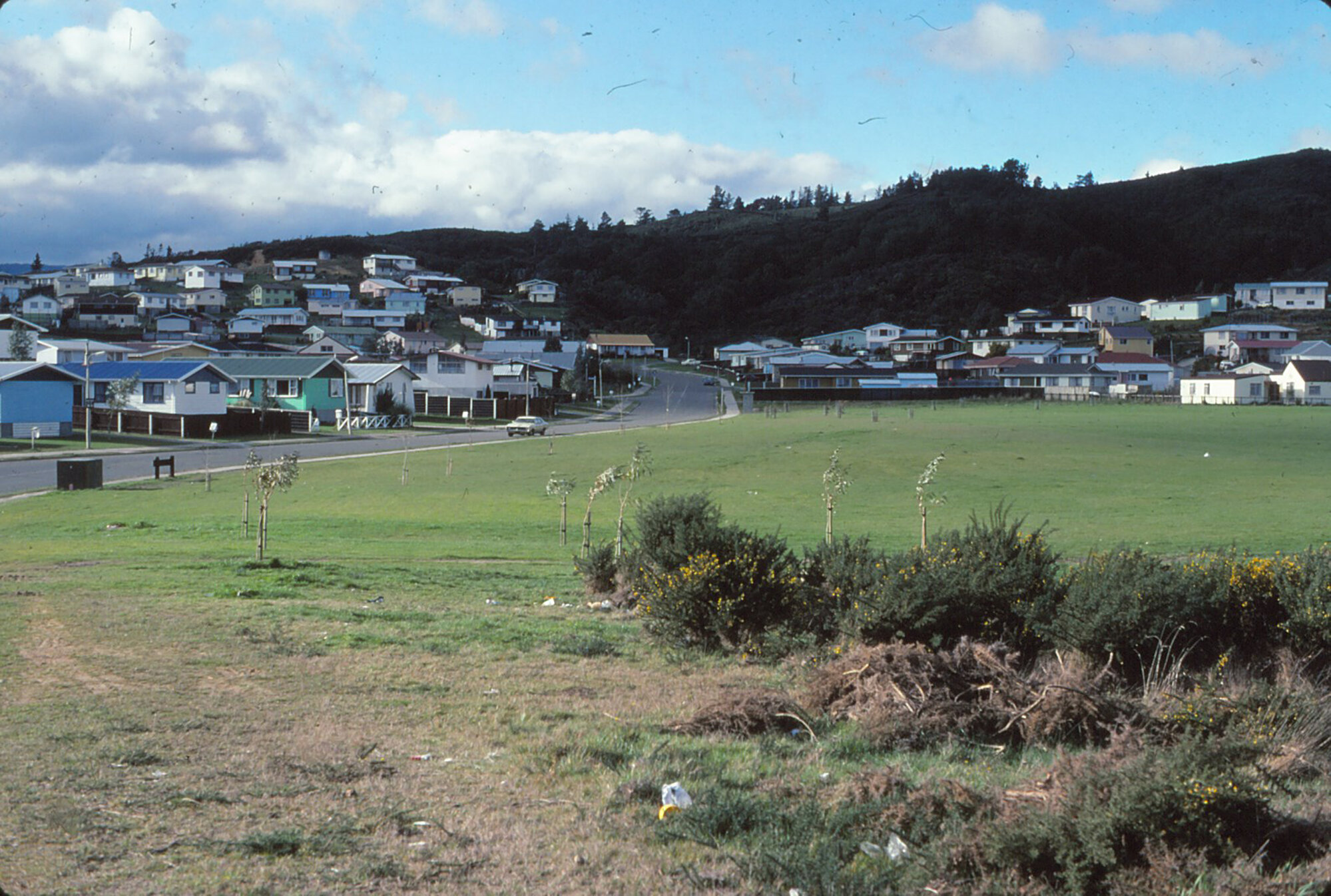 Timberlea Park; 1984