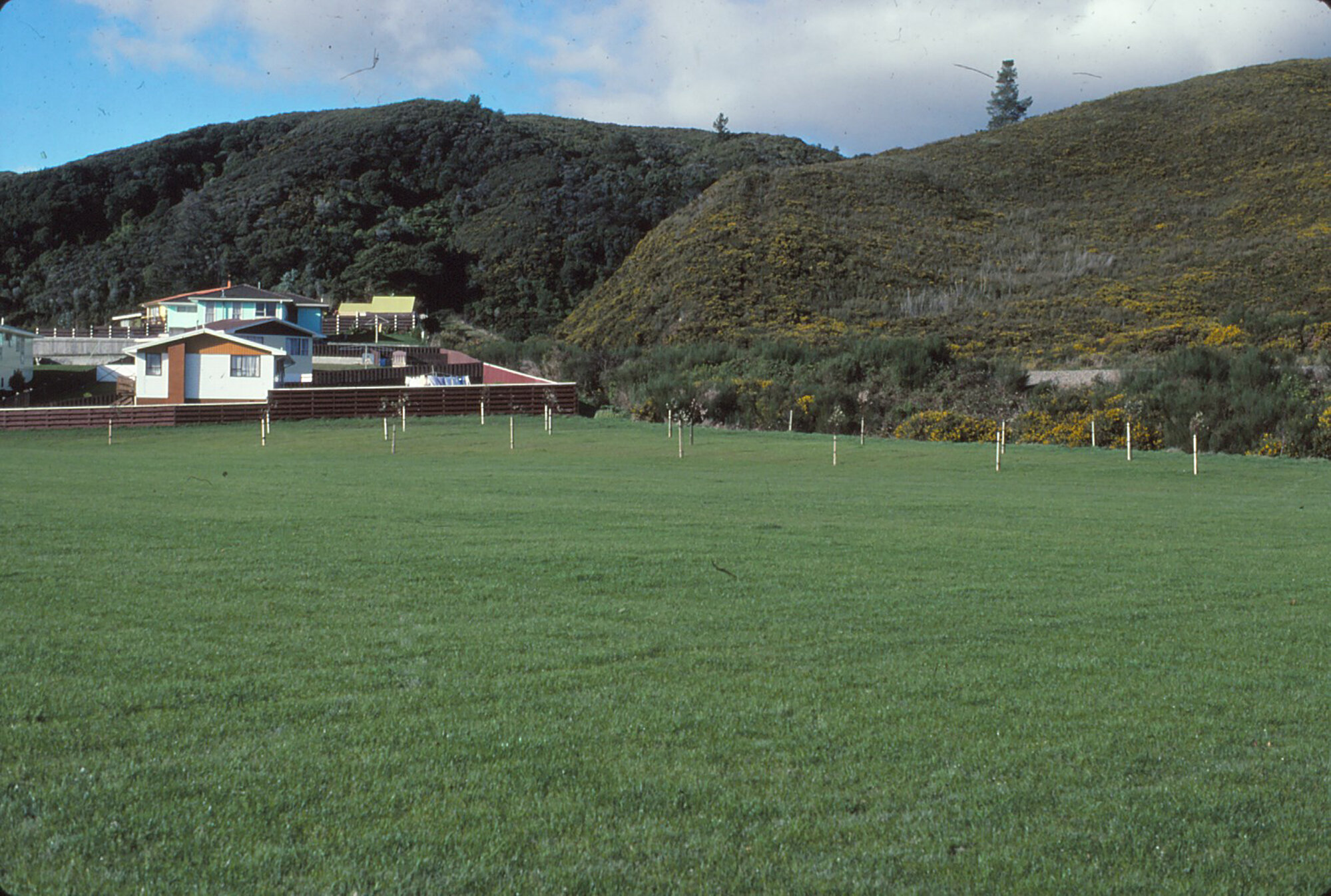 Timberlea Park; 1984