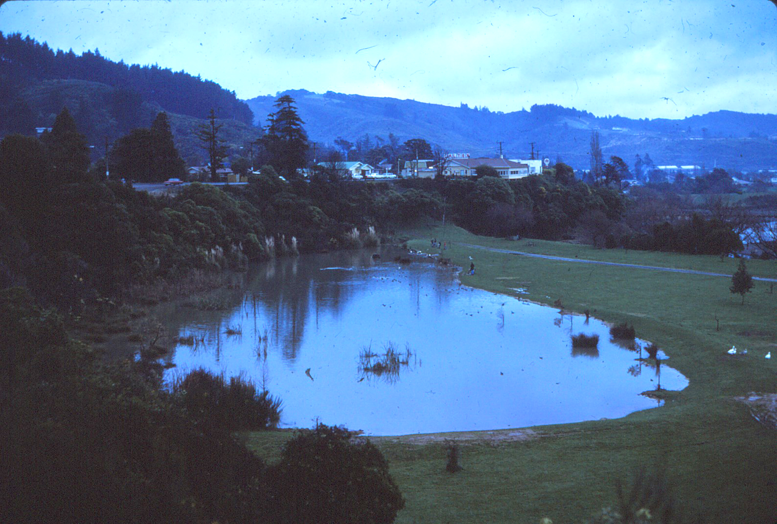 Te Haukaretu Park; Duck Pond; Circa 1980s