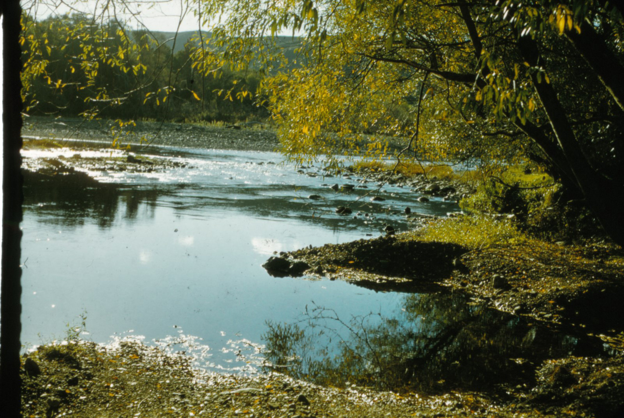 Te Awa Kairangi / Hutt River near Wilkeses' 