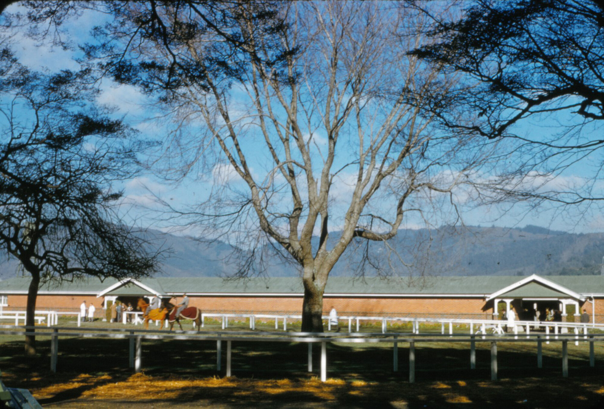 Trentham racecourse; saddling paddock and stables