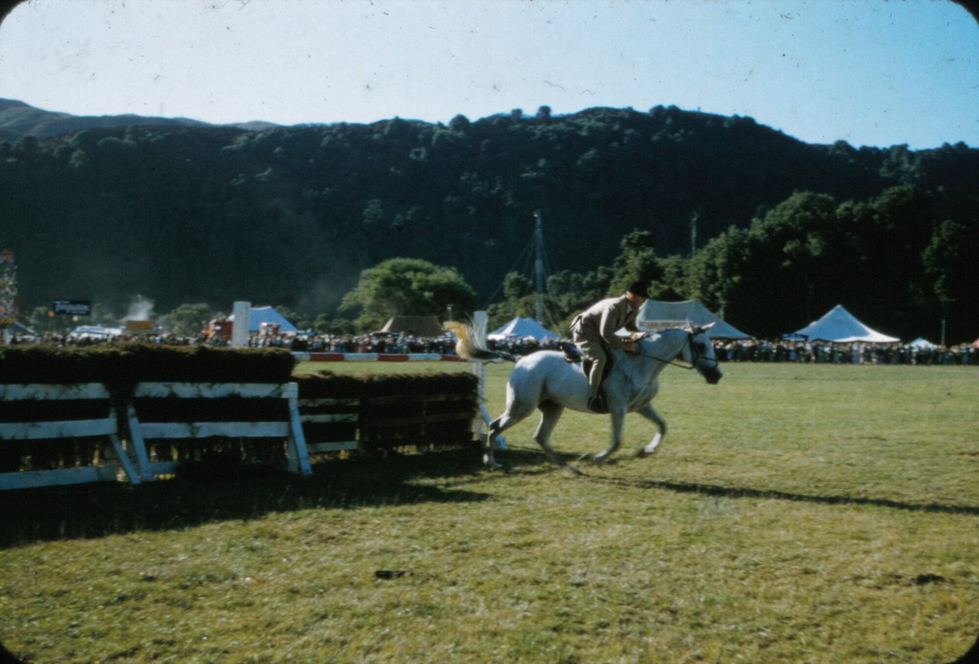 A &amp; P show, Trentham Memorial Park; showjumping