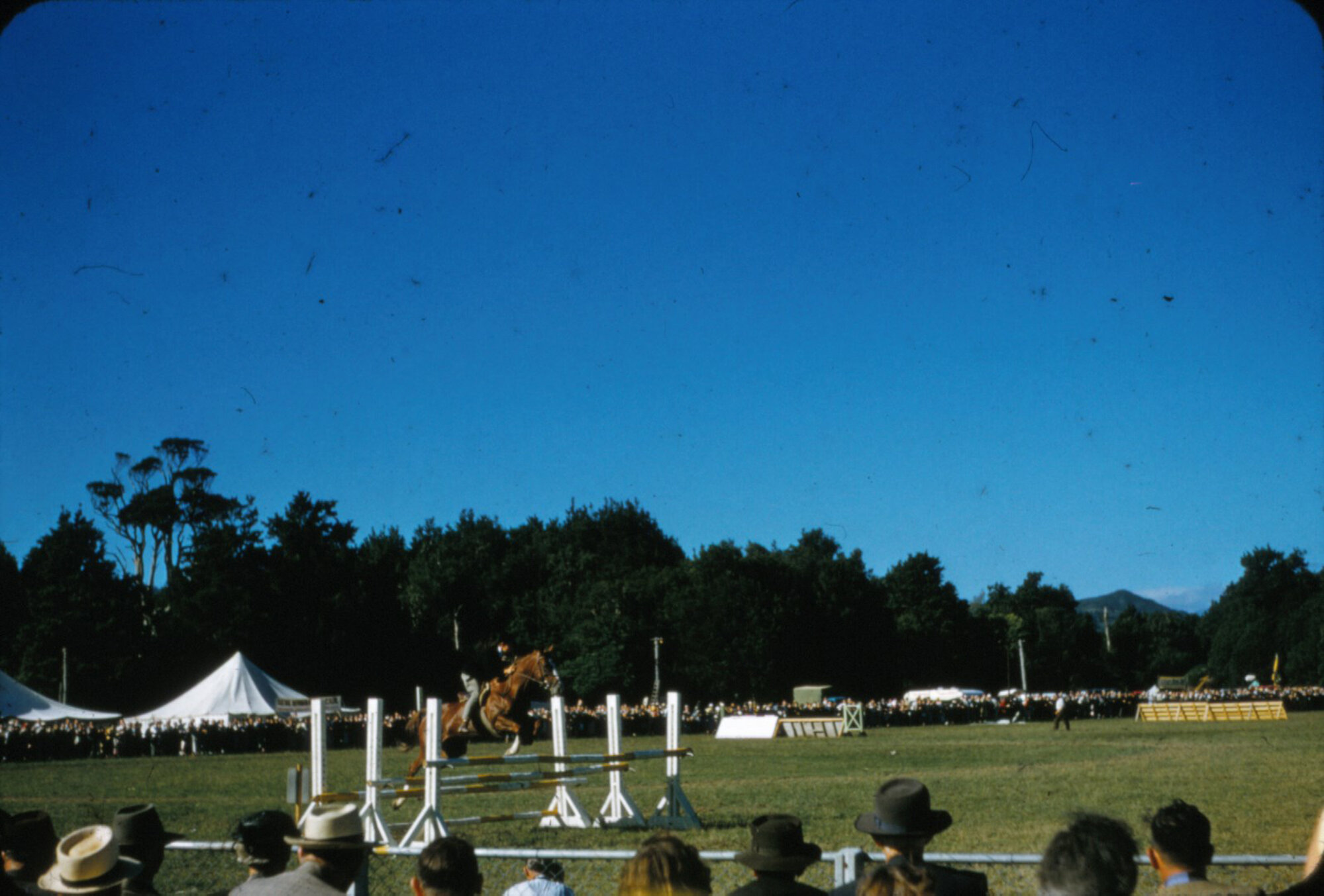 A &amp; P show, Trentham Memorial Park; showjumping