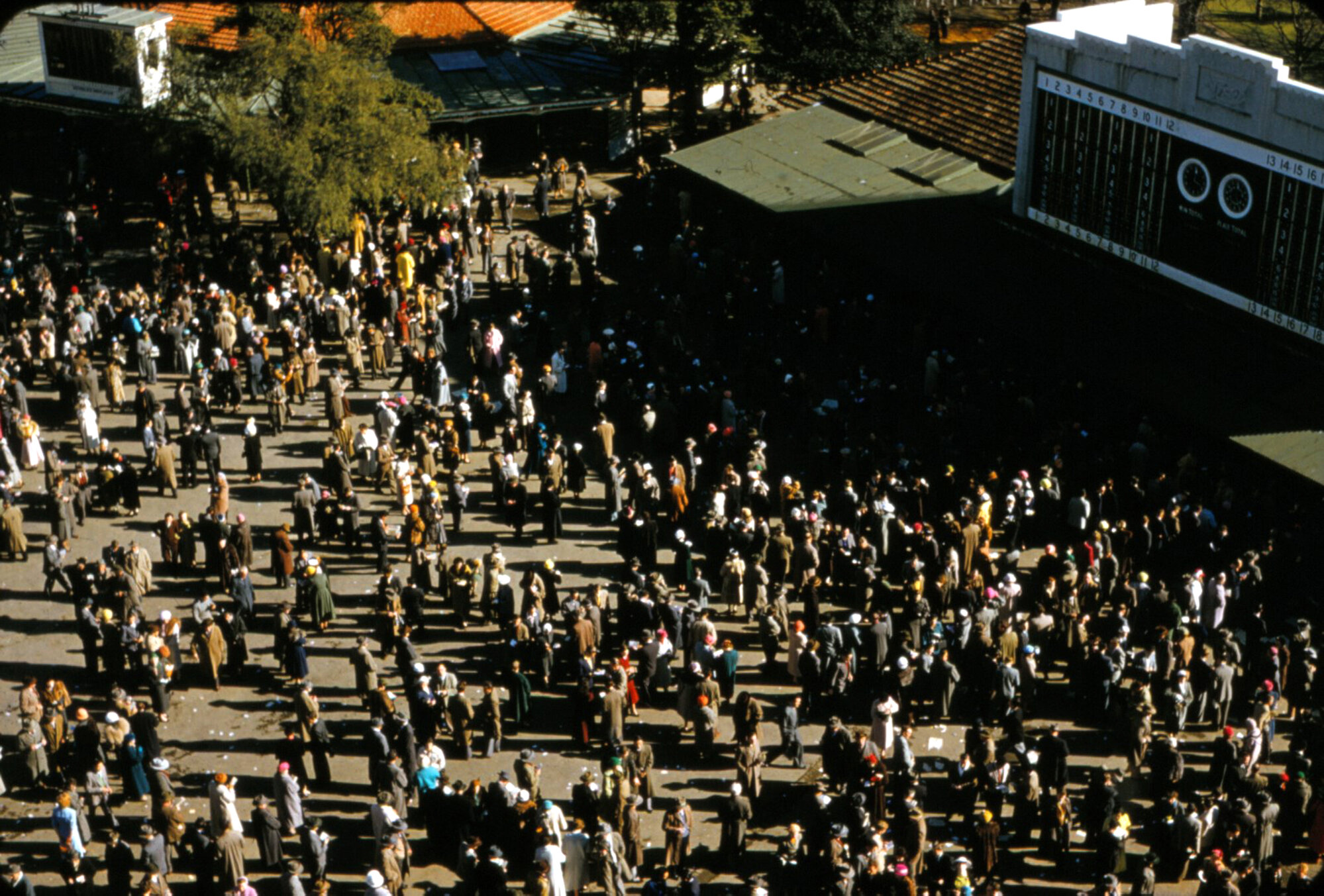 Trentham racecourse; 'Peasants and Tote'