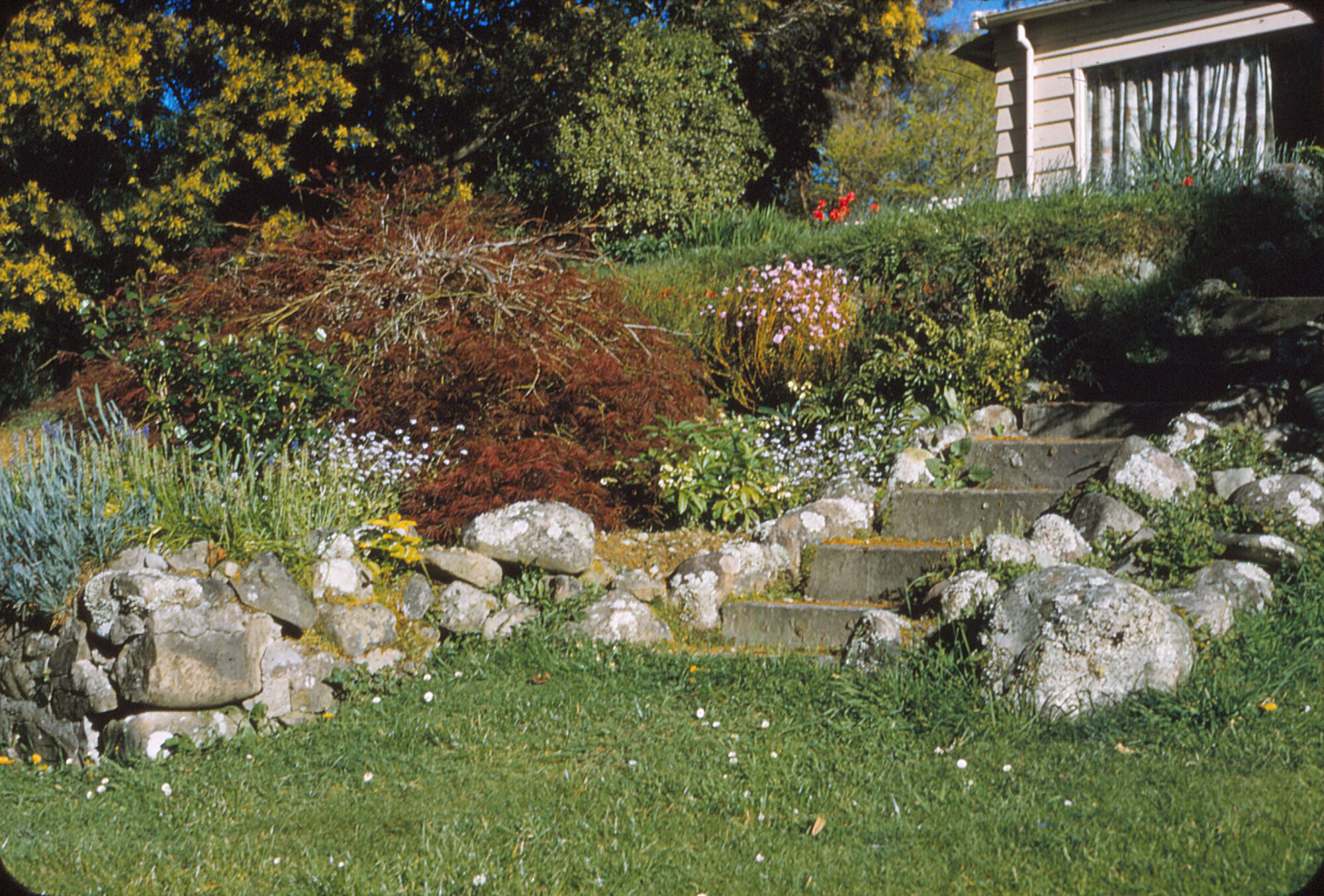 Wilkeses' rockery, Te Marua, Upper Hutt