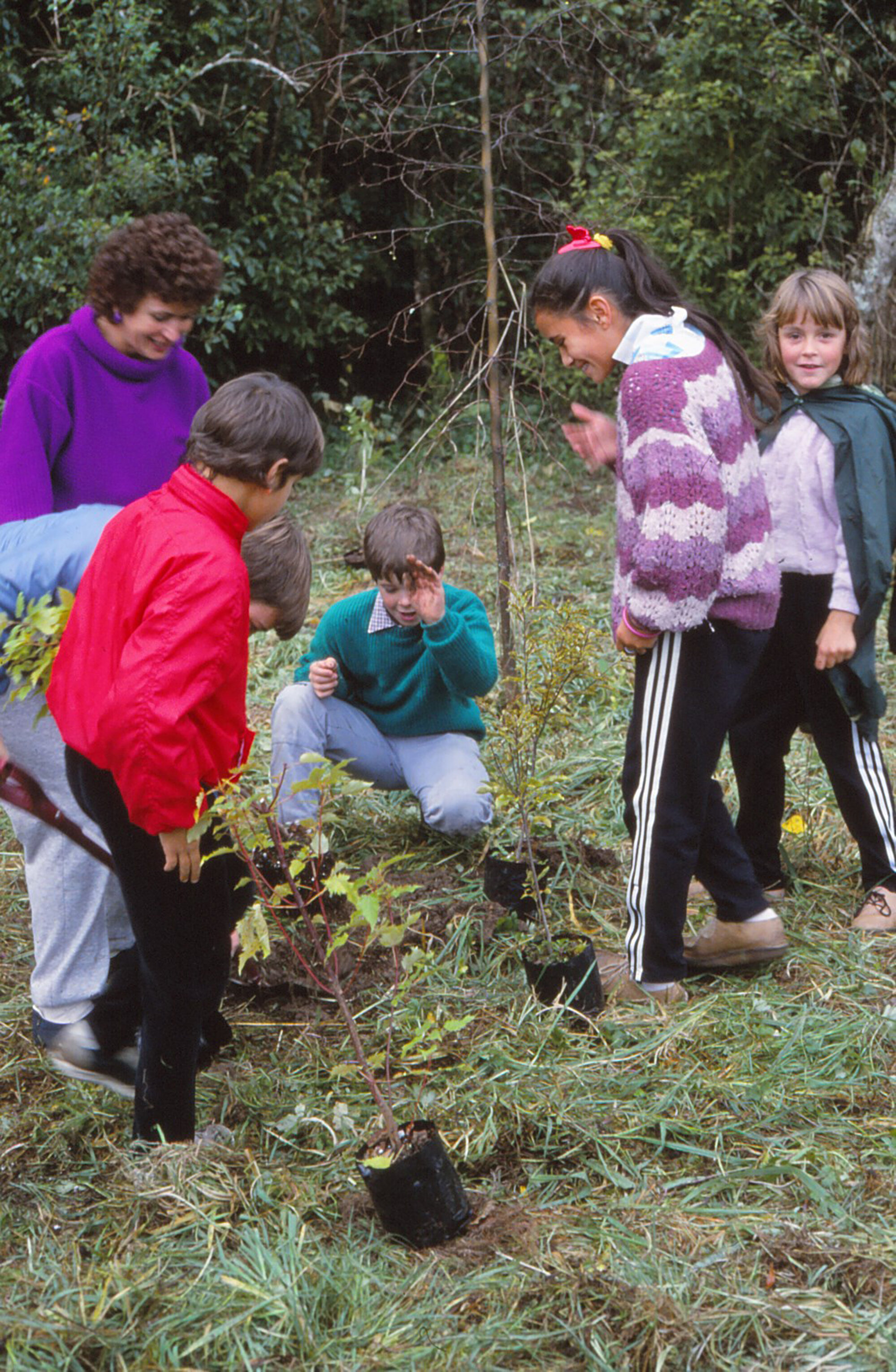 Arbor Day 1987