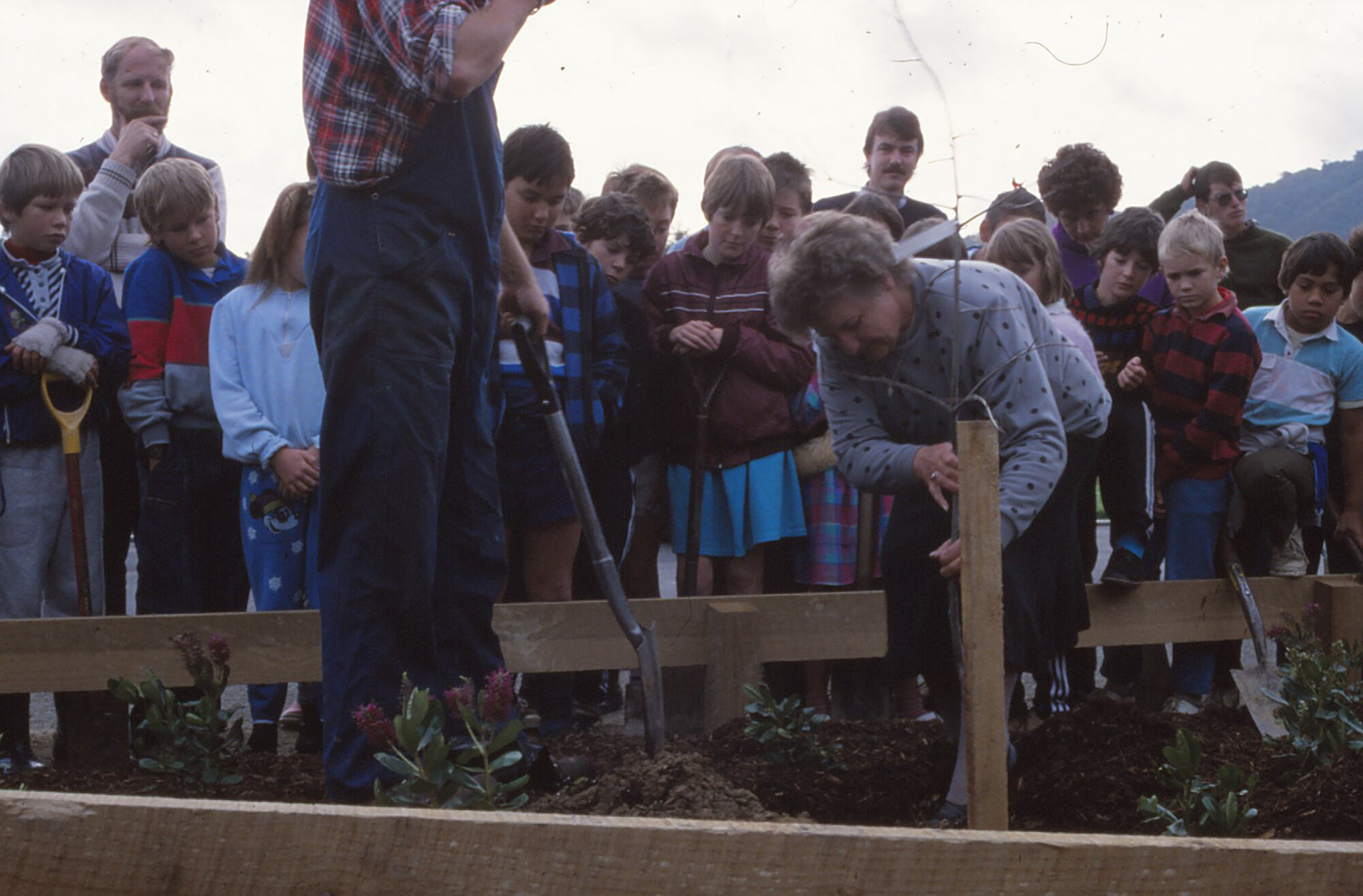 Arbor Day 1987