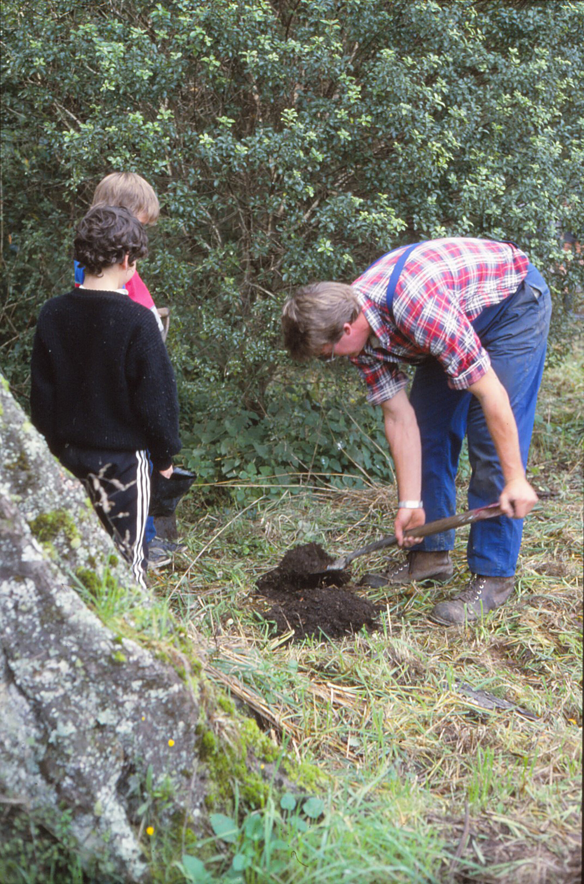 Arbor Day 1987