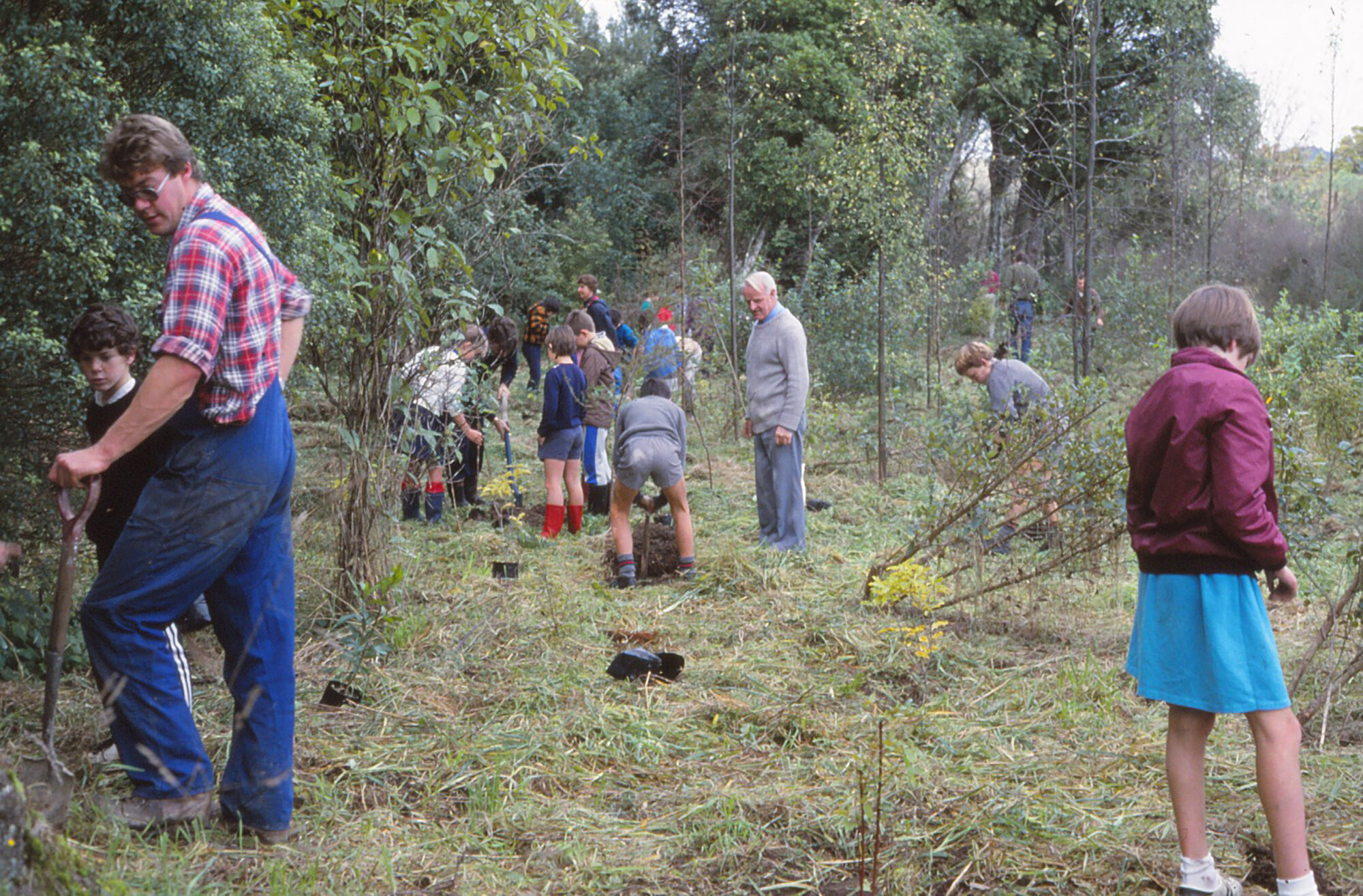 Arbor Day 1987