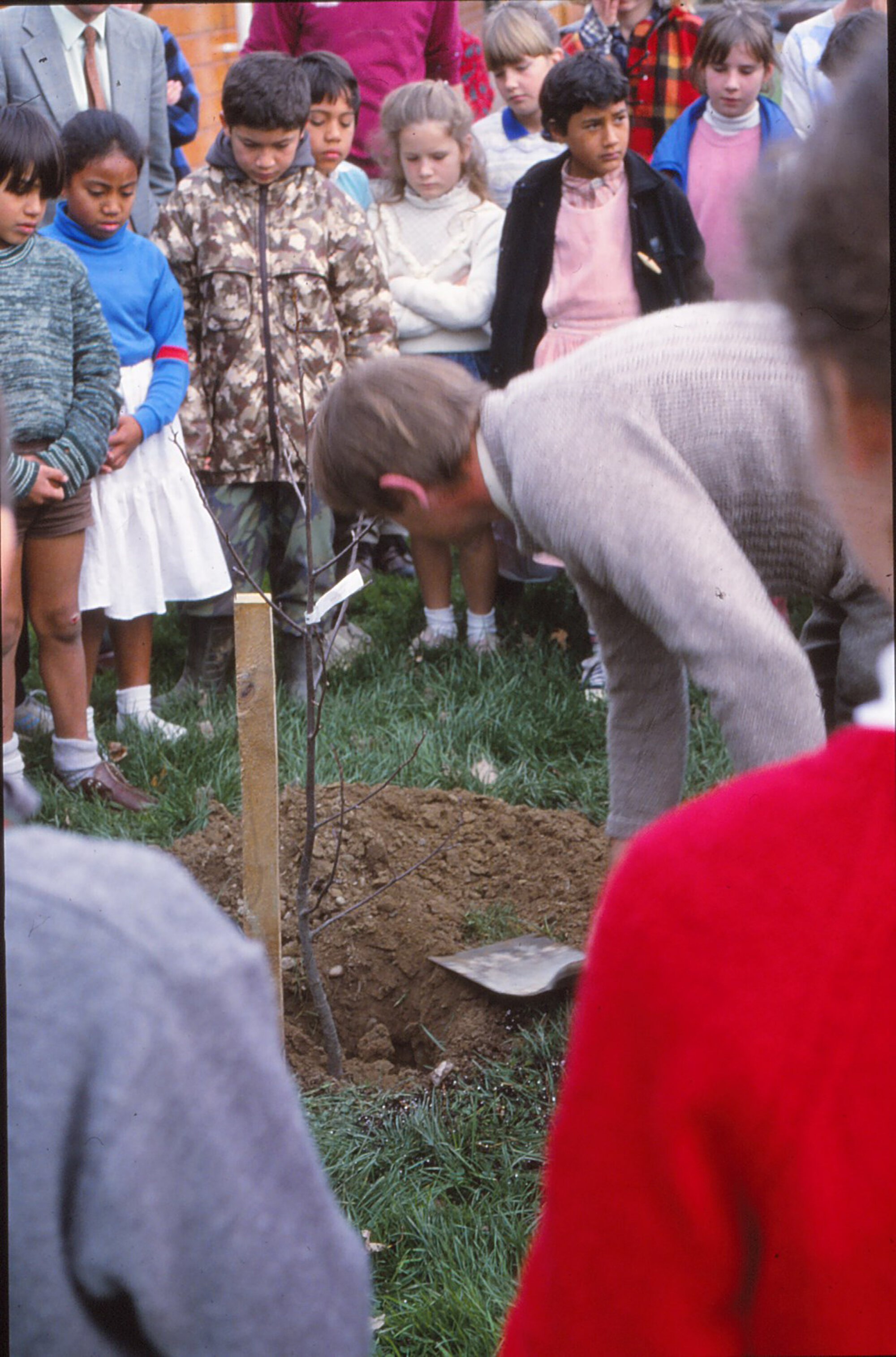 Arbor Day 1987